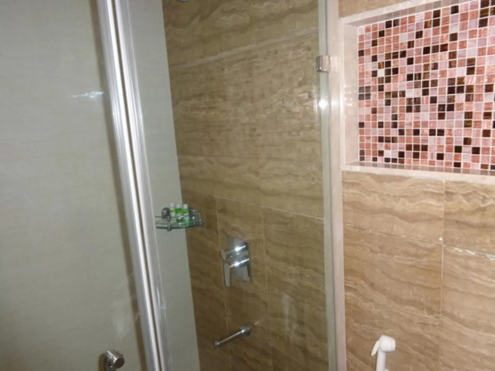 Shower, Bathroom in Ramada Ahmedabad