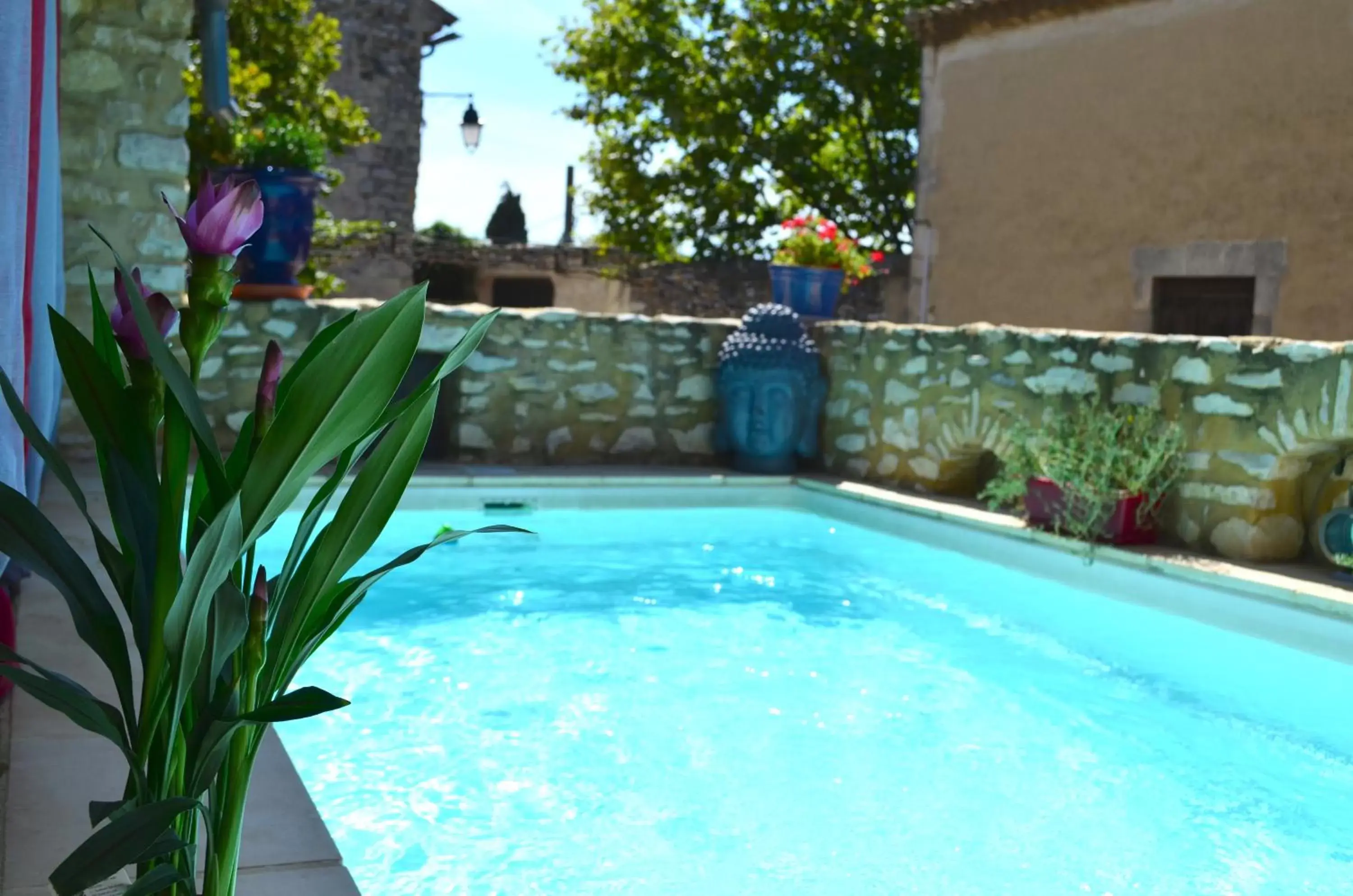 Swimming Pool in Hotel Le Saint Laurent