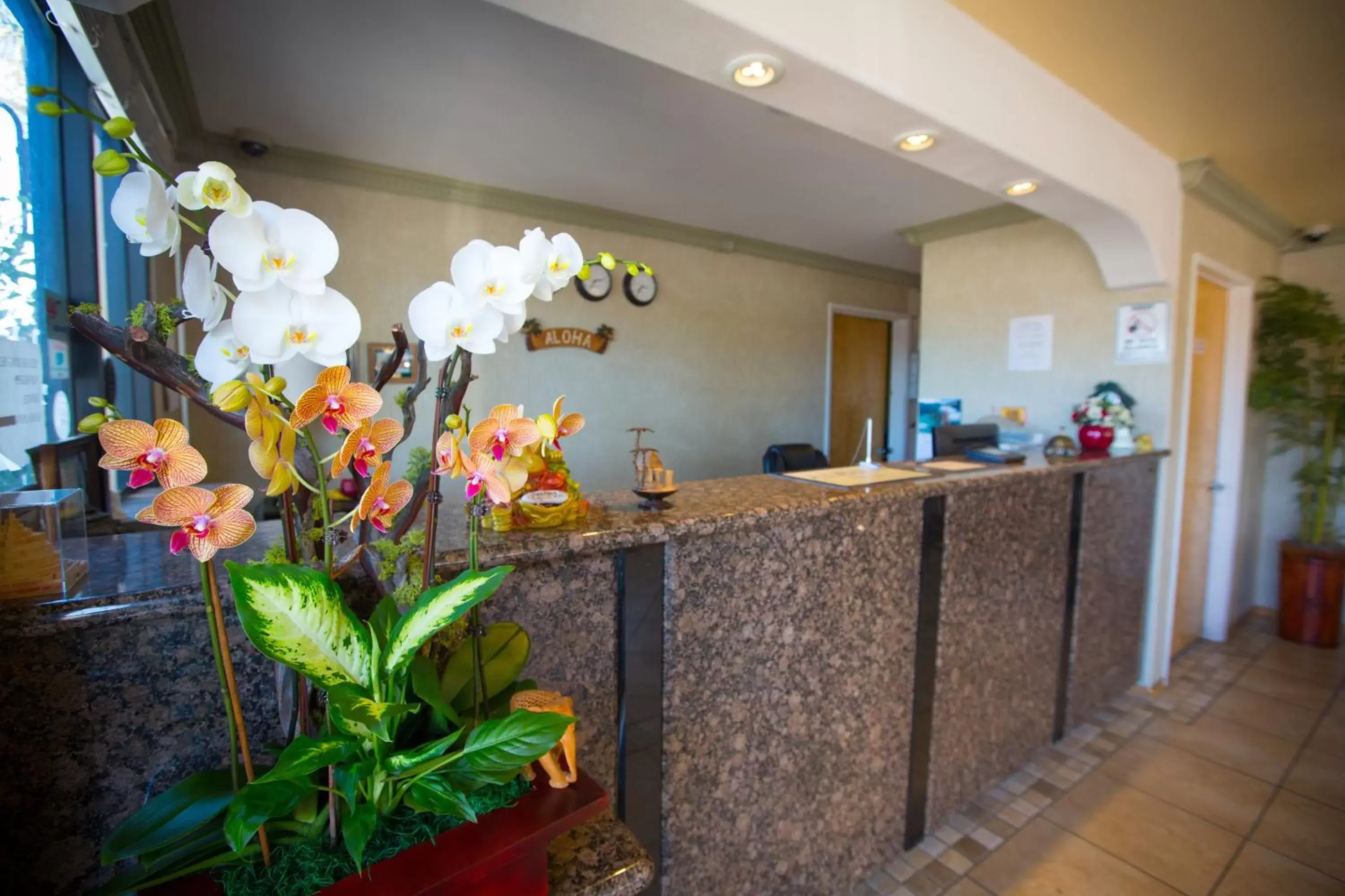 Lobby or reception, Lobby/Reception in Aloha Inn