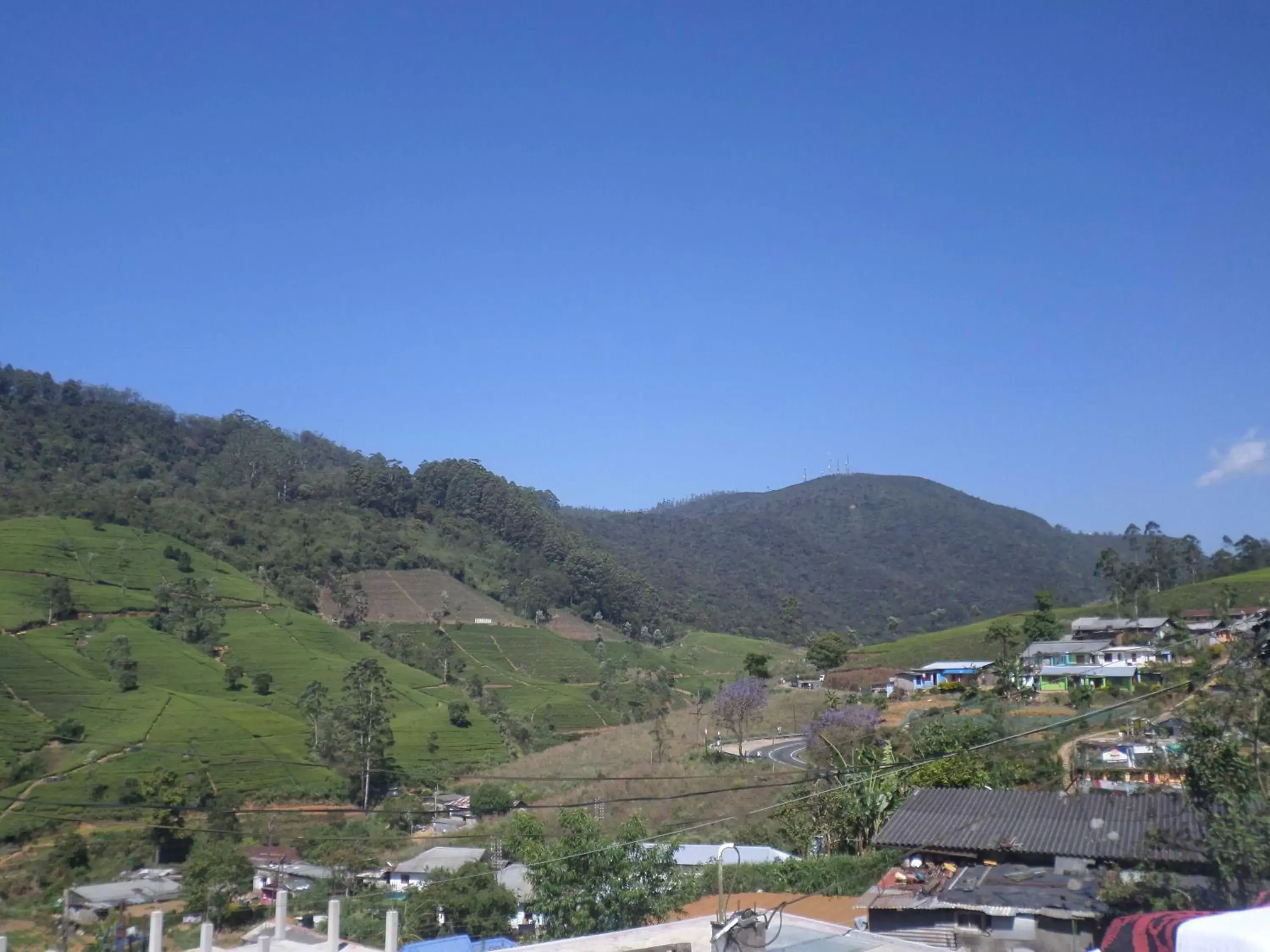 Mountain view in The Train View