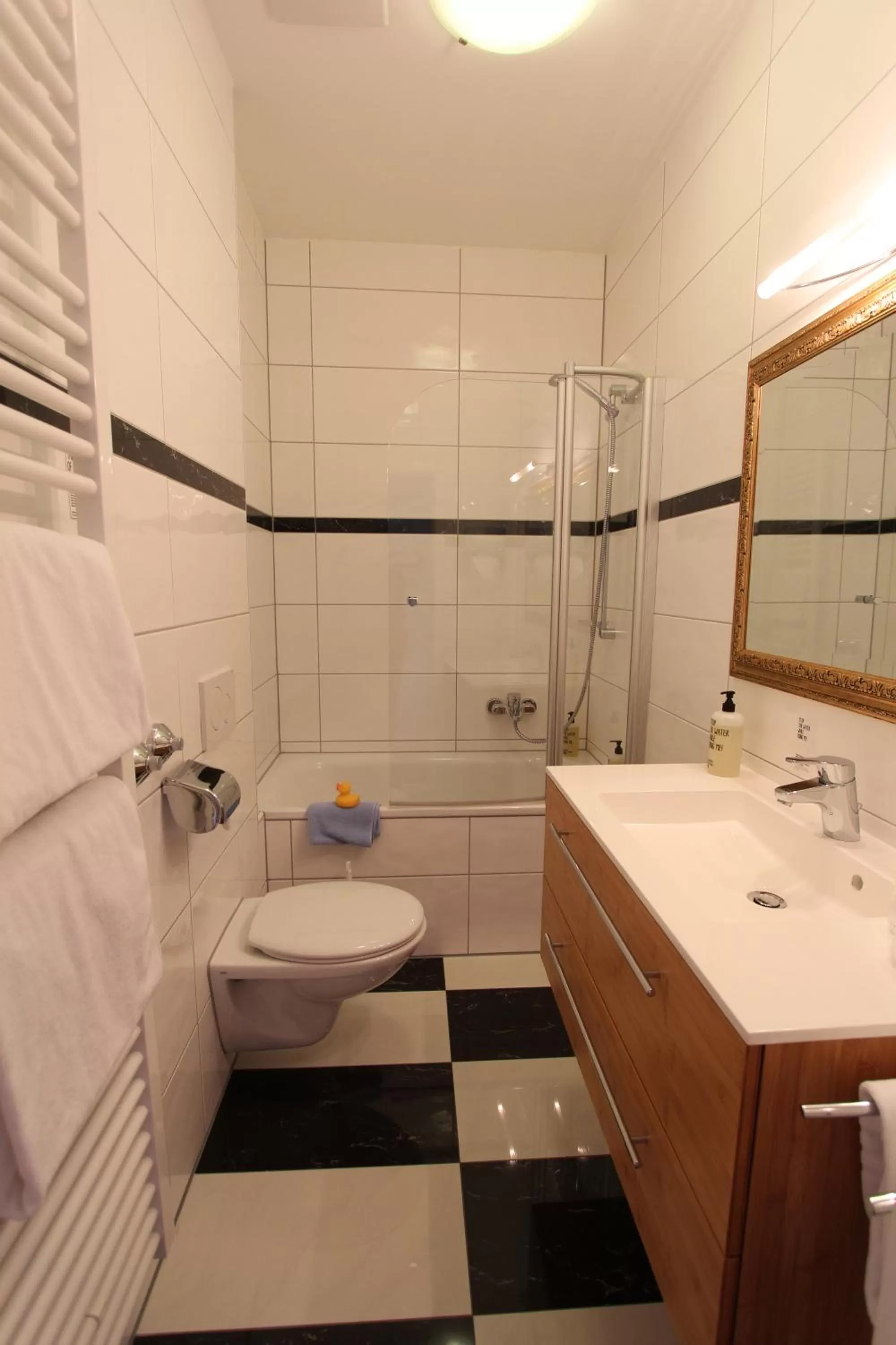 Toilet in Historik Hotel Goldener Hirsch Rothenburg