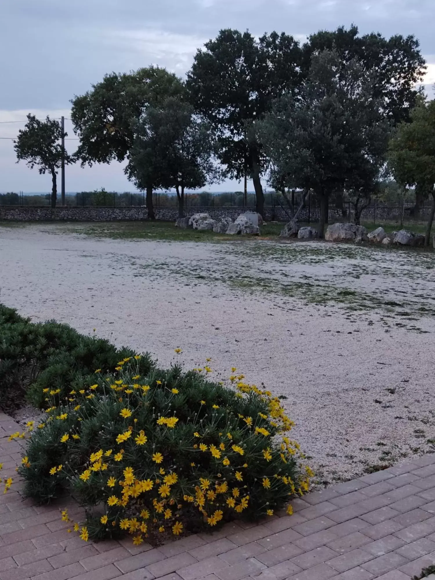 Garden view in Supramurgia Agribistrot