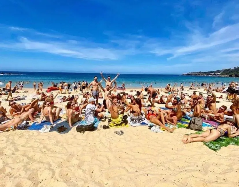 Beach in Mad Monkey Coogee Beach