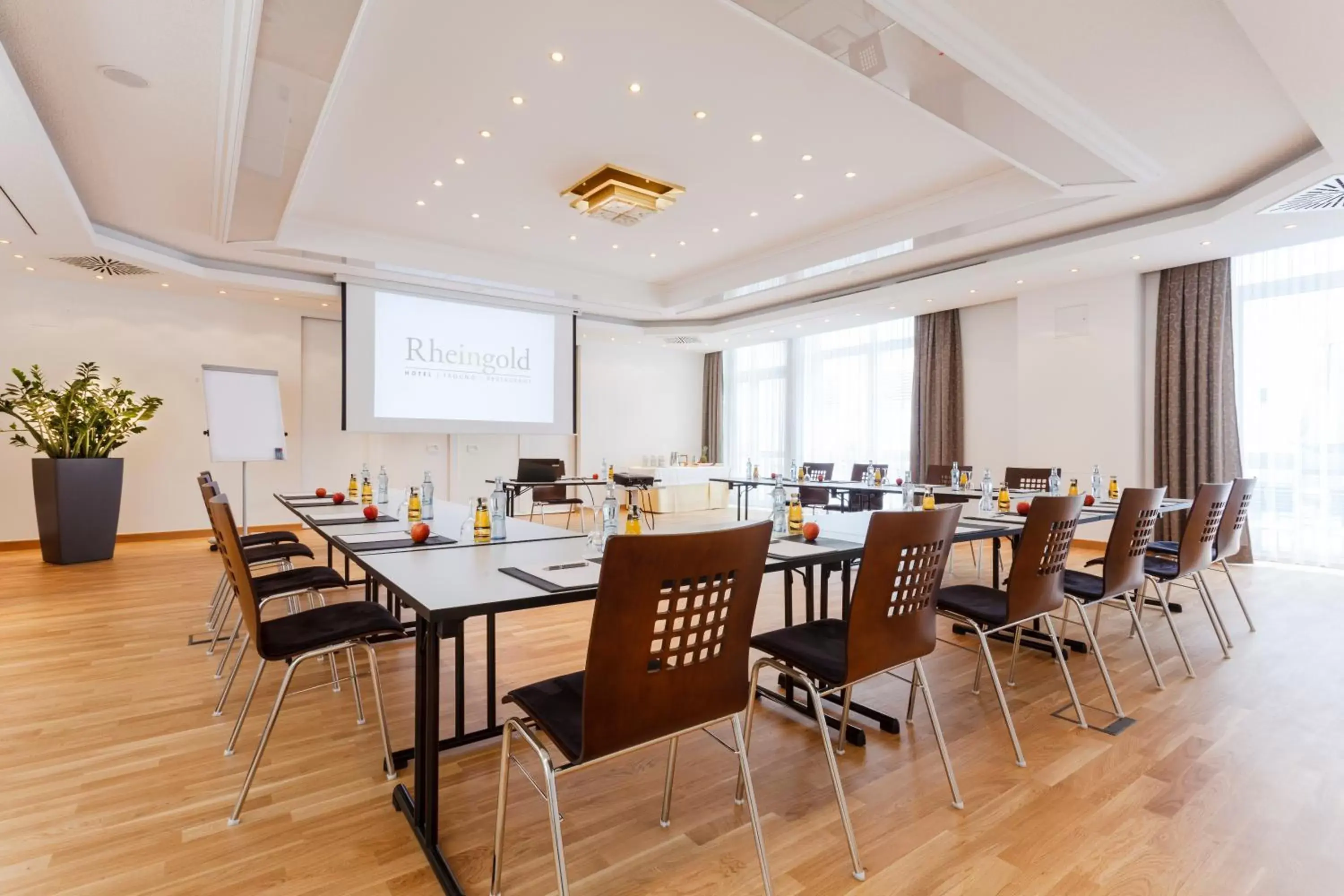 Meeting/conference room in Hotel Rheingold