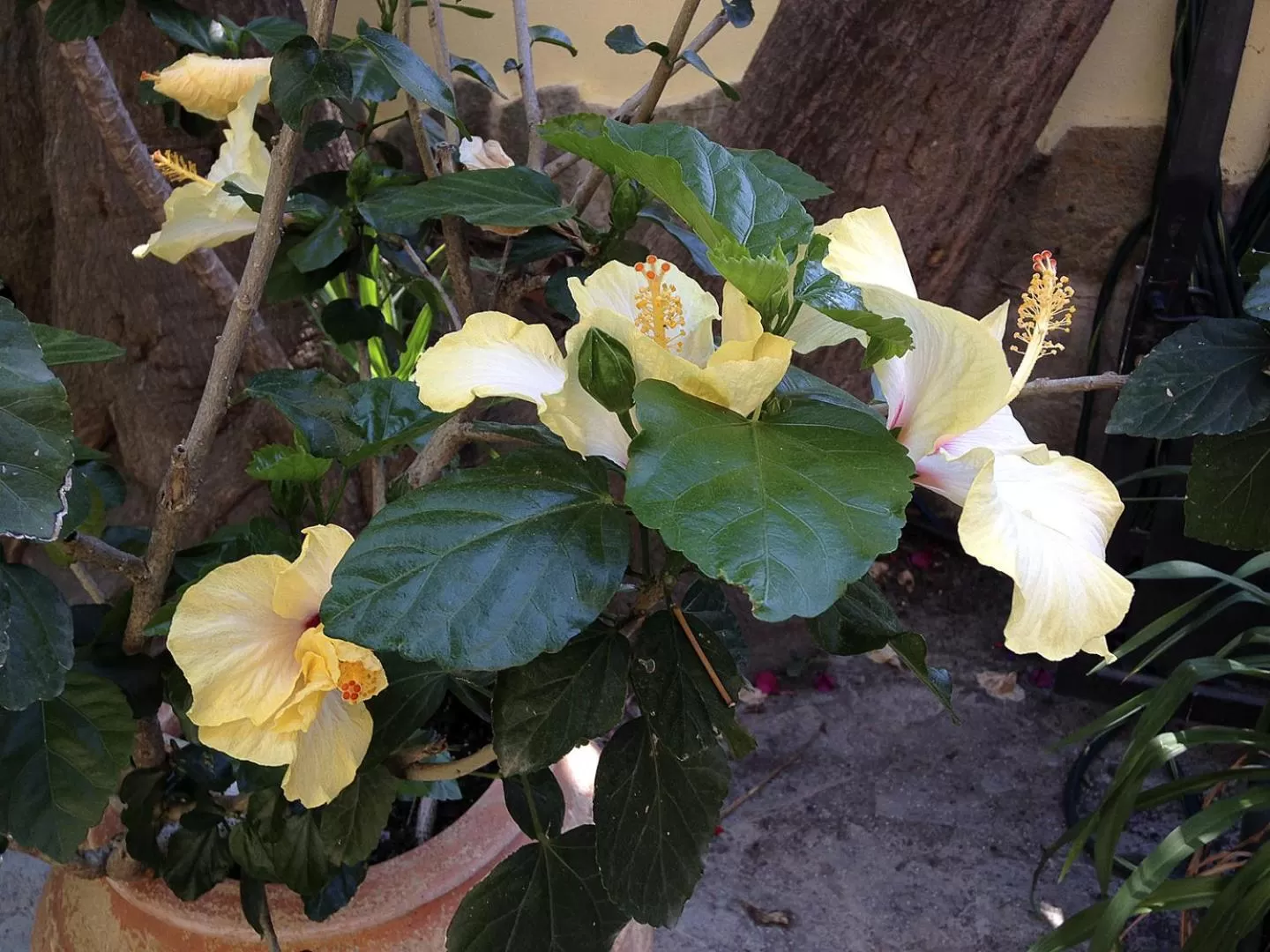 Hôtel A casa di Maria Cicilia