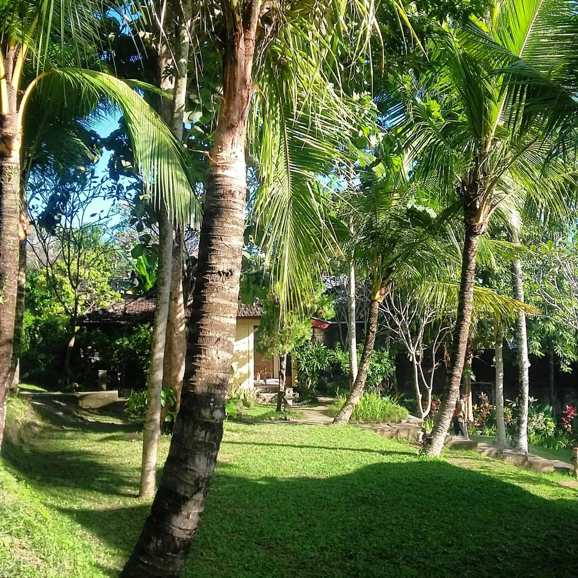 Garden in Argasoka Bungalows