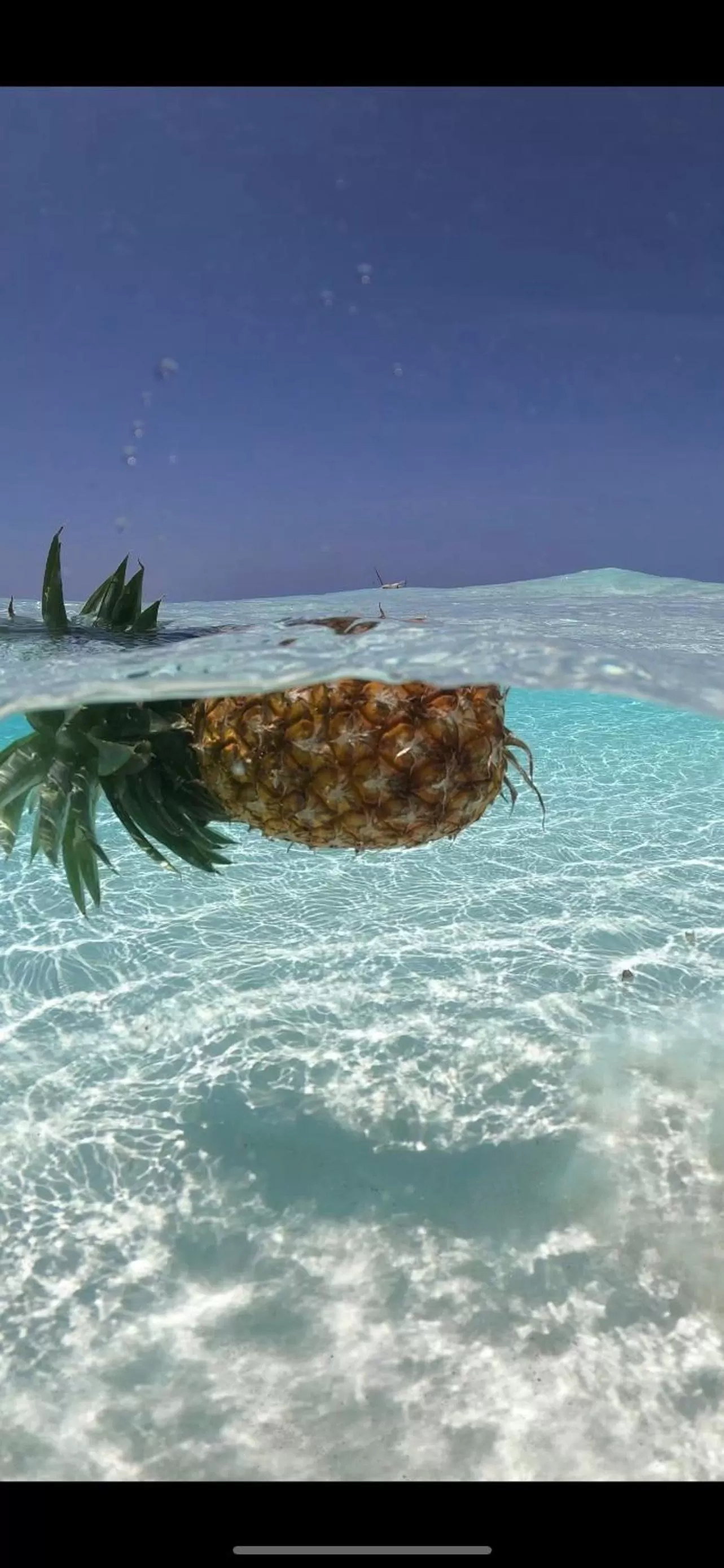 Natural landscape in Kihori Nungwi