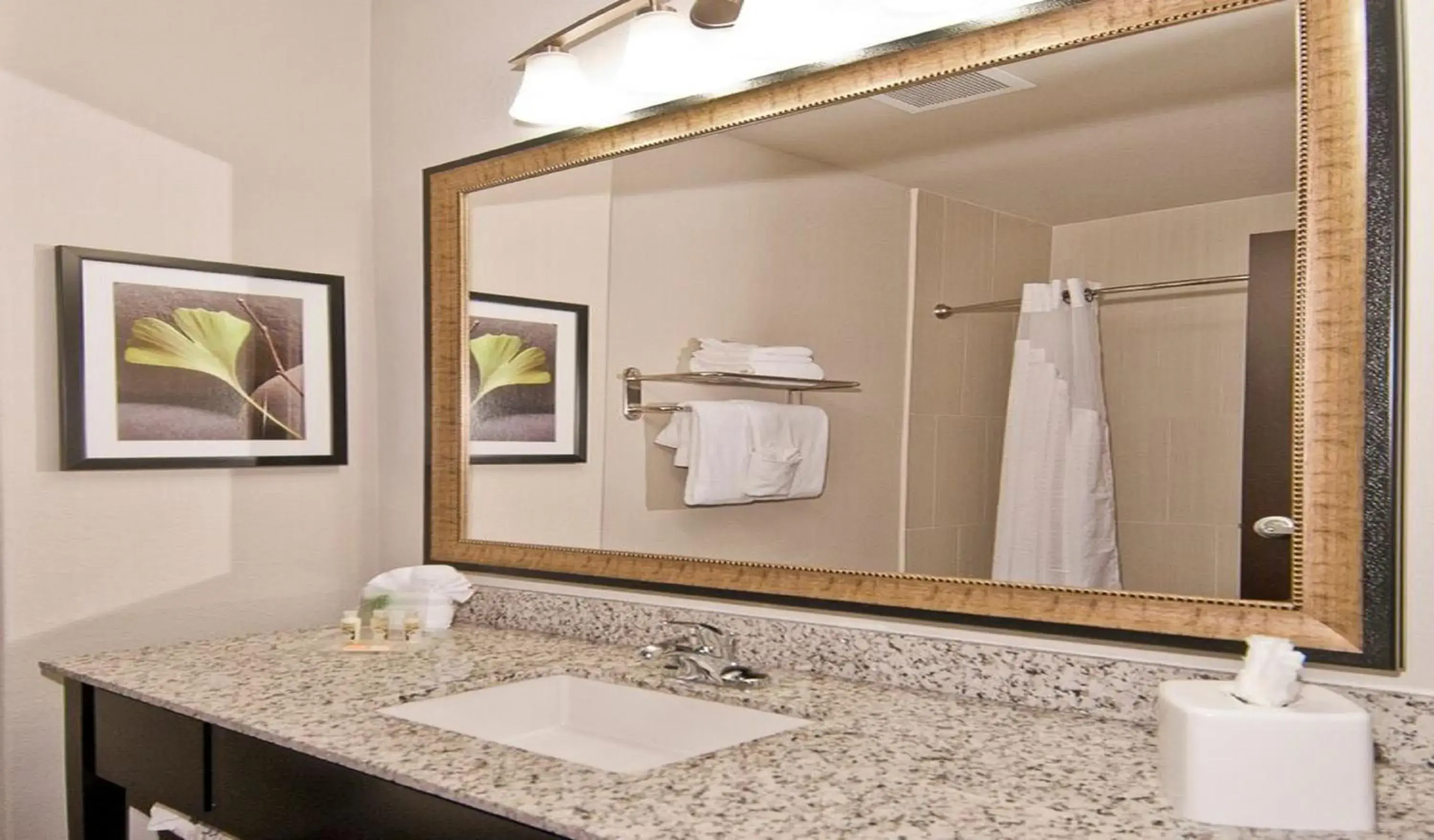 Bathroom in Holiday Inn Austin Airport, an IHG Hotel