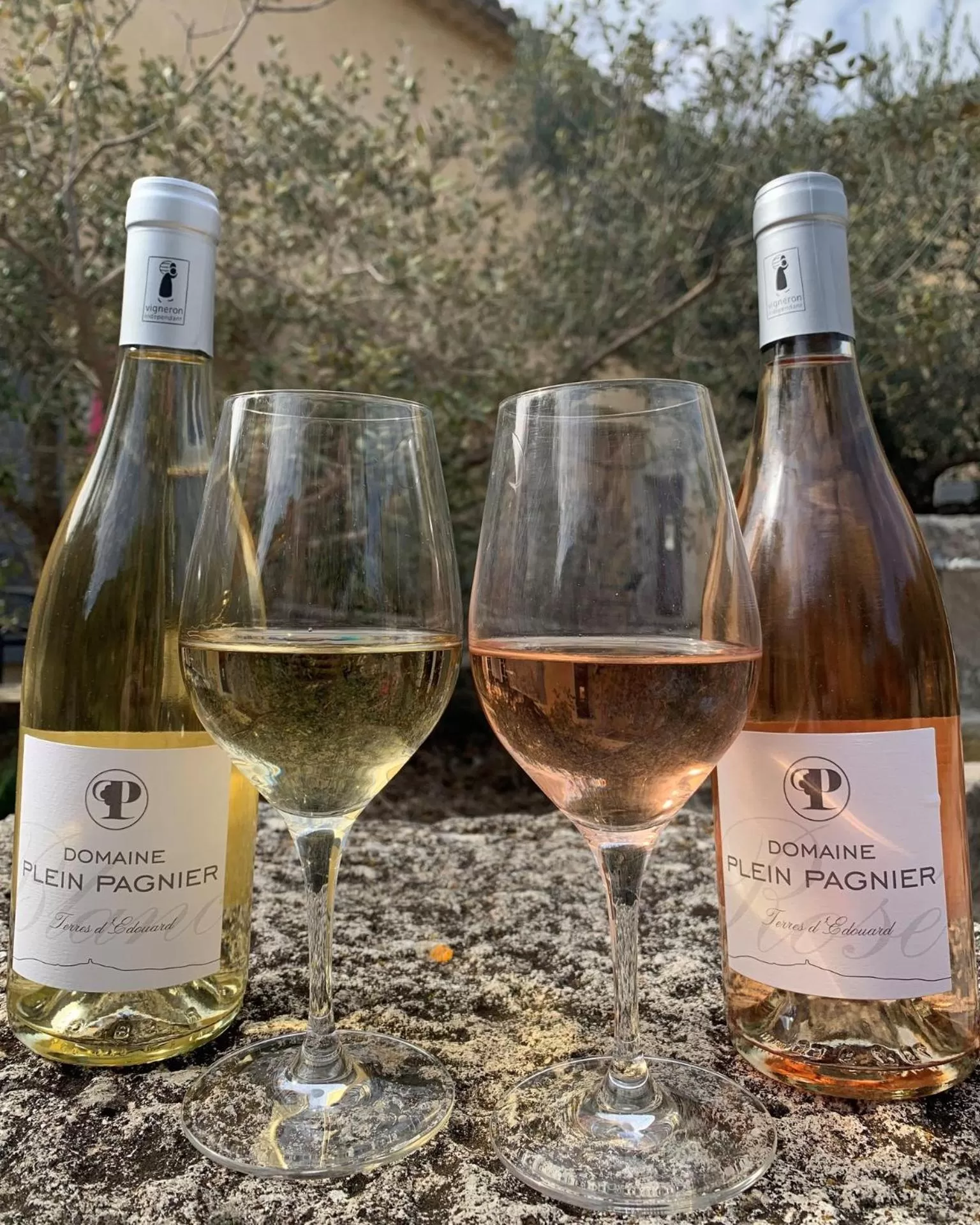 Lounge or bar in Clos Saint-Michel Resort & Spa