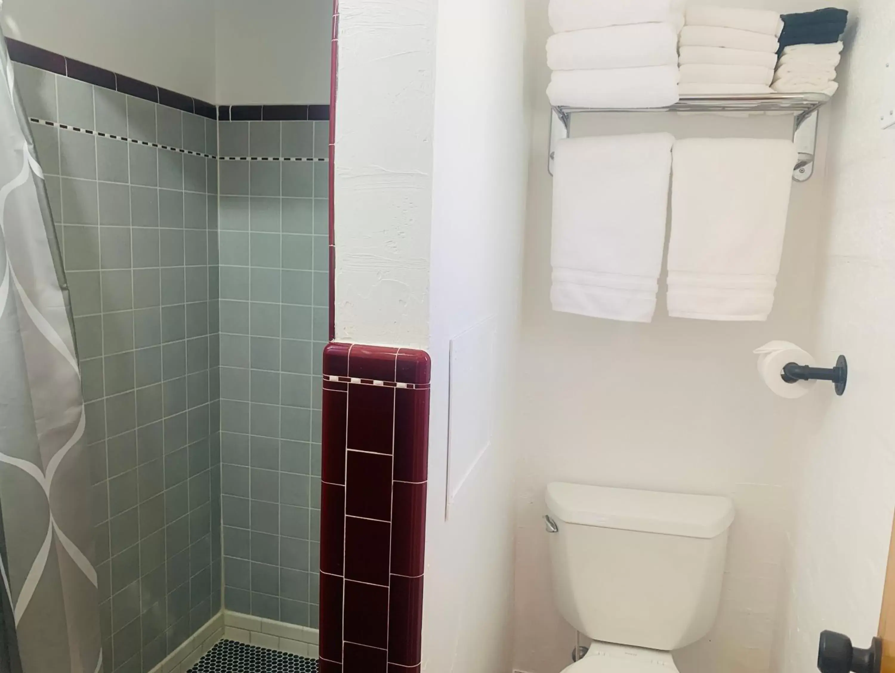 Shower, Bathroom in Dragonfly Motor Lodge
