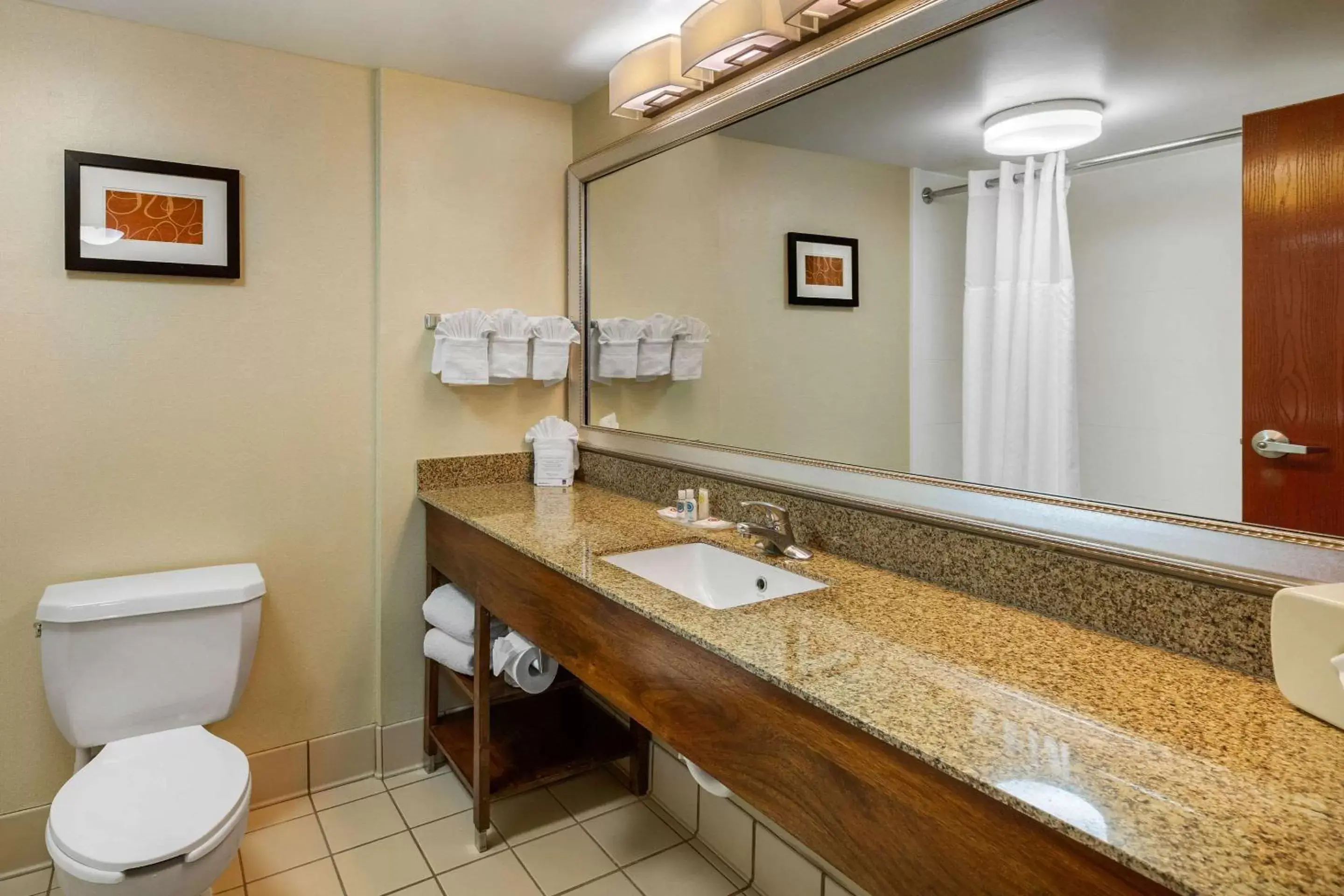 Photo of the whole room, Bathroom in Comfort Suites Manassas