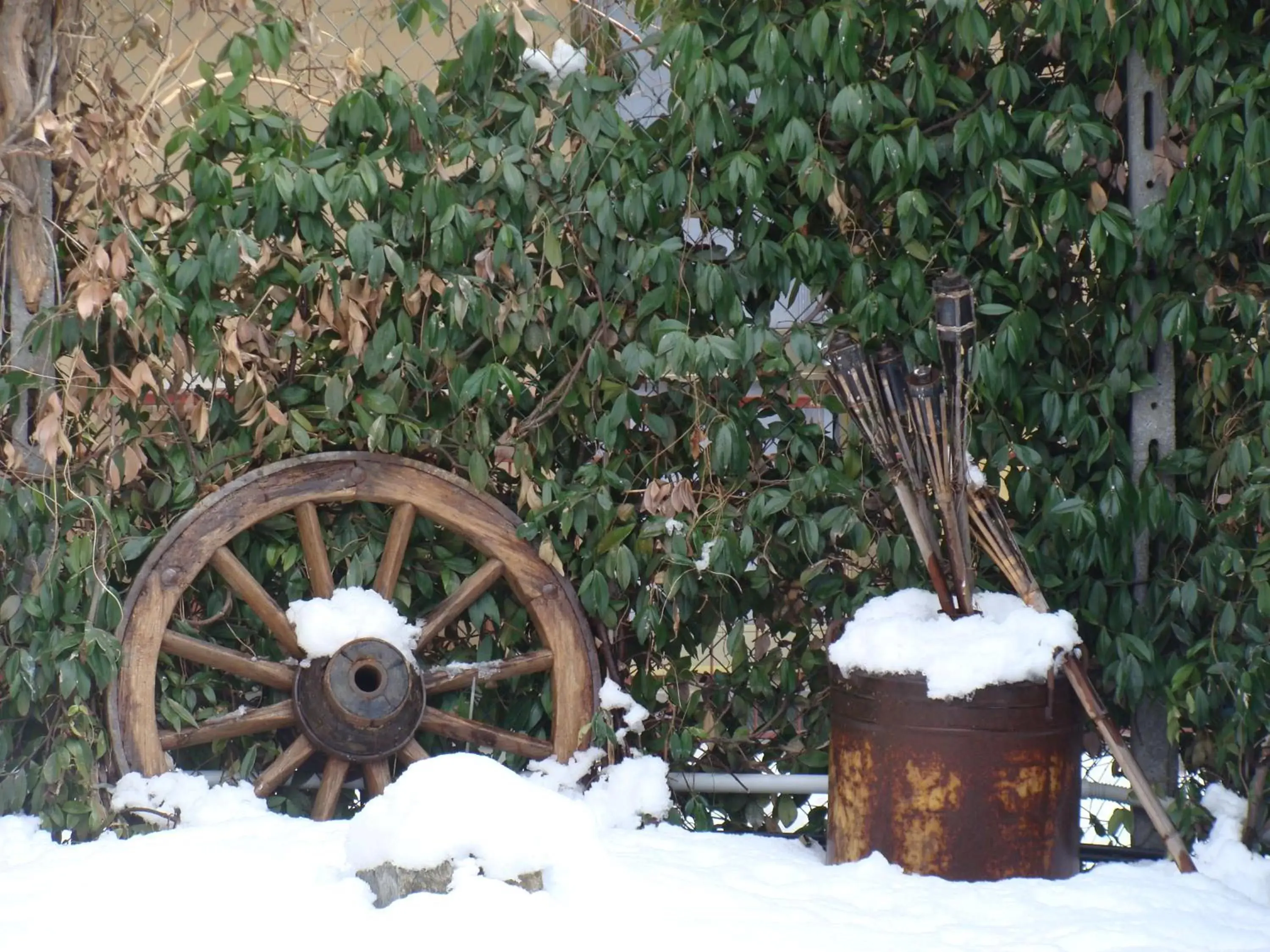 Garden in Hotel Elena