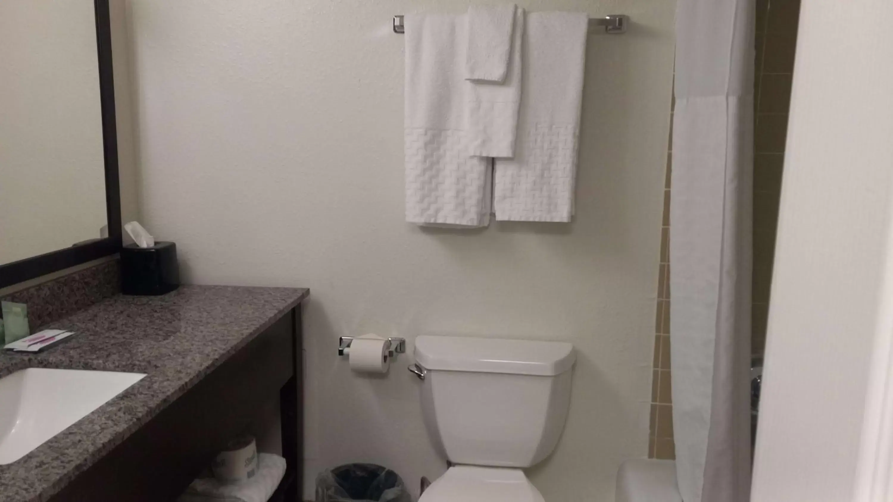 Bathroom in Best Western Downtown Casper Hotel