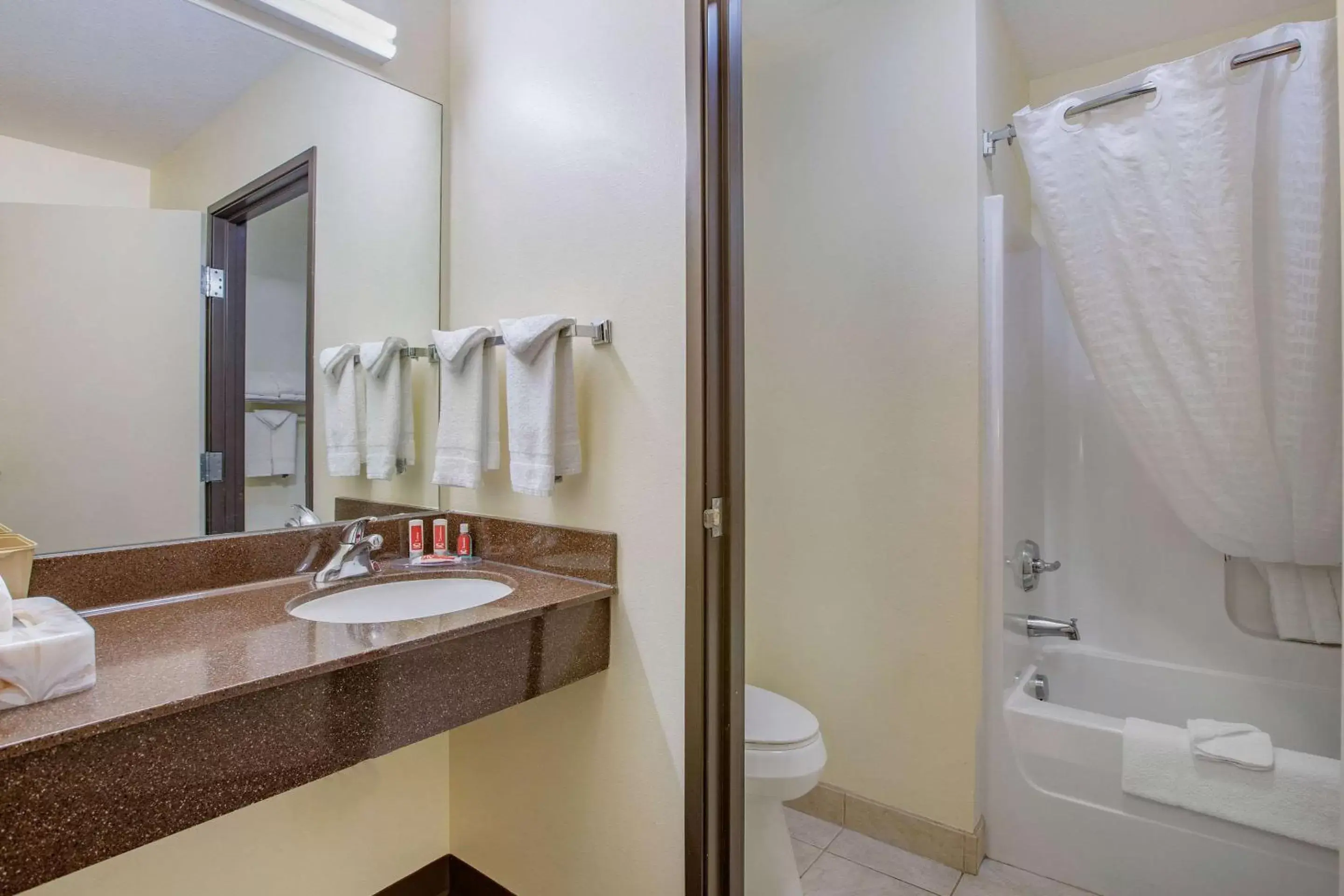 Bathroom in Econo Lodge Inn & Suites Fairgrounds