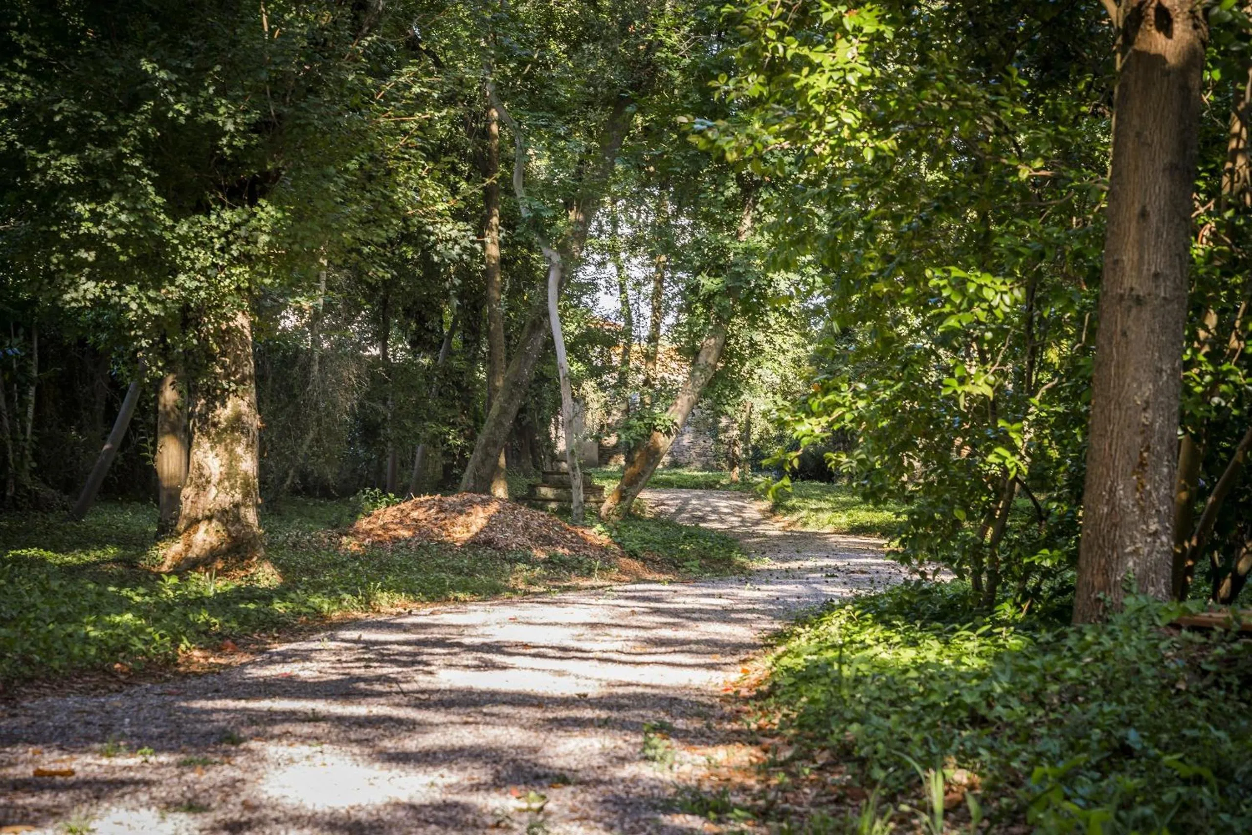 Garden in Hotel Villa La Principessa