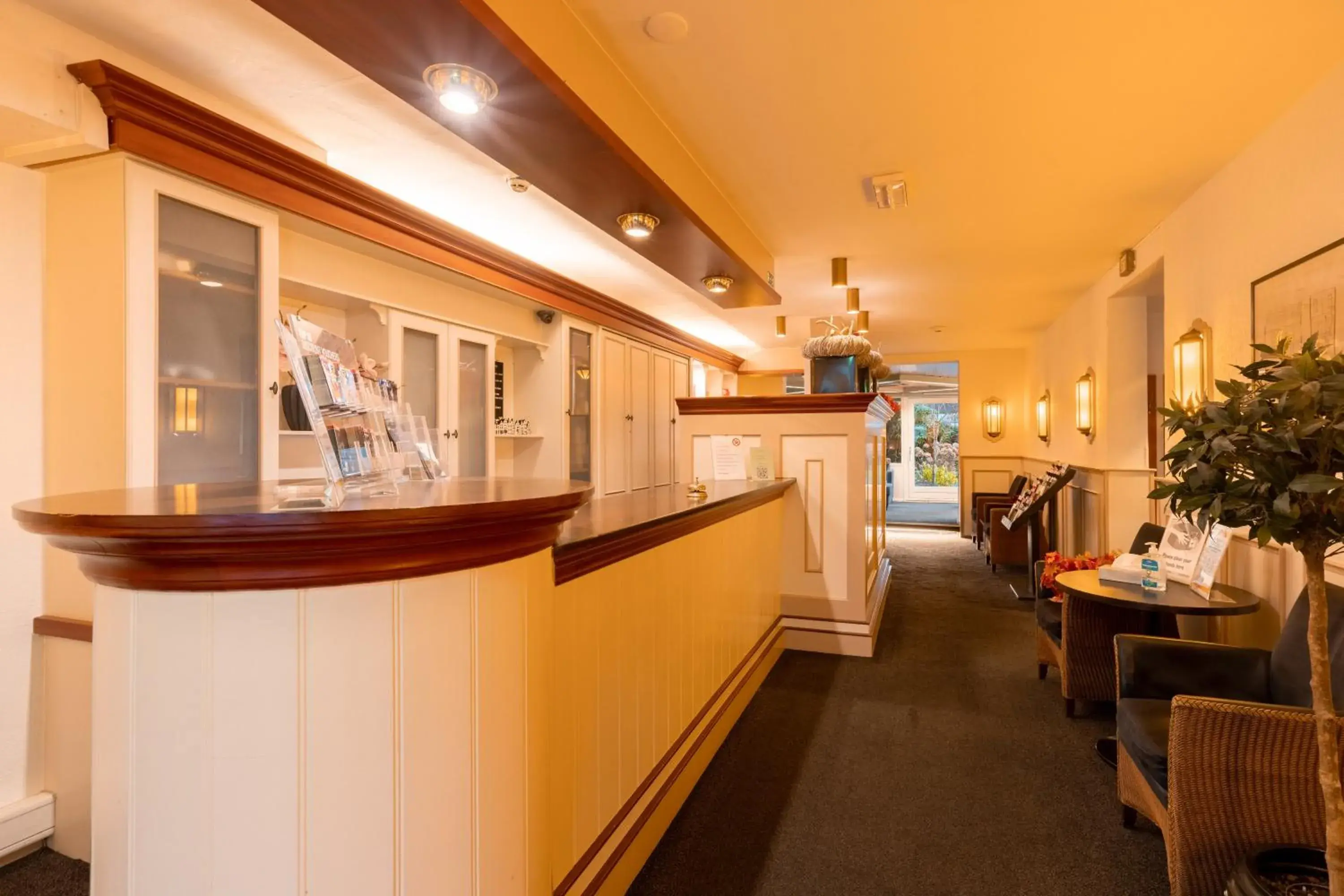 Lobby or reception in Owl Hotel Lobby or reception in Owl Hotel