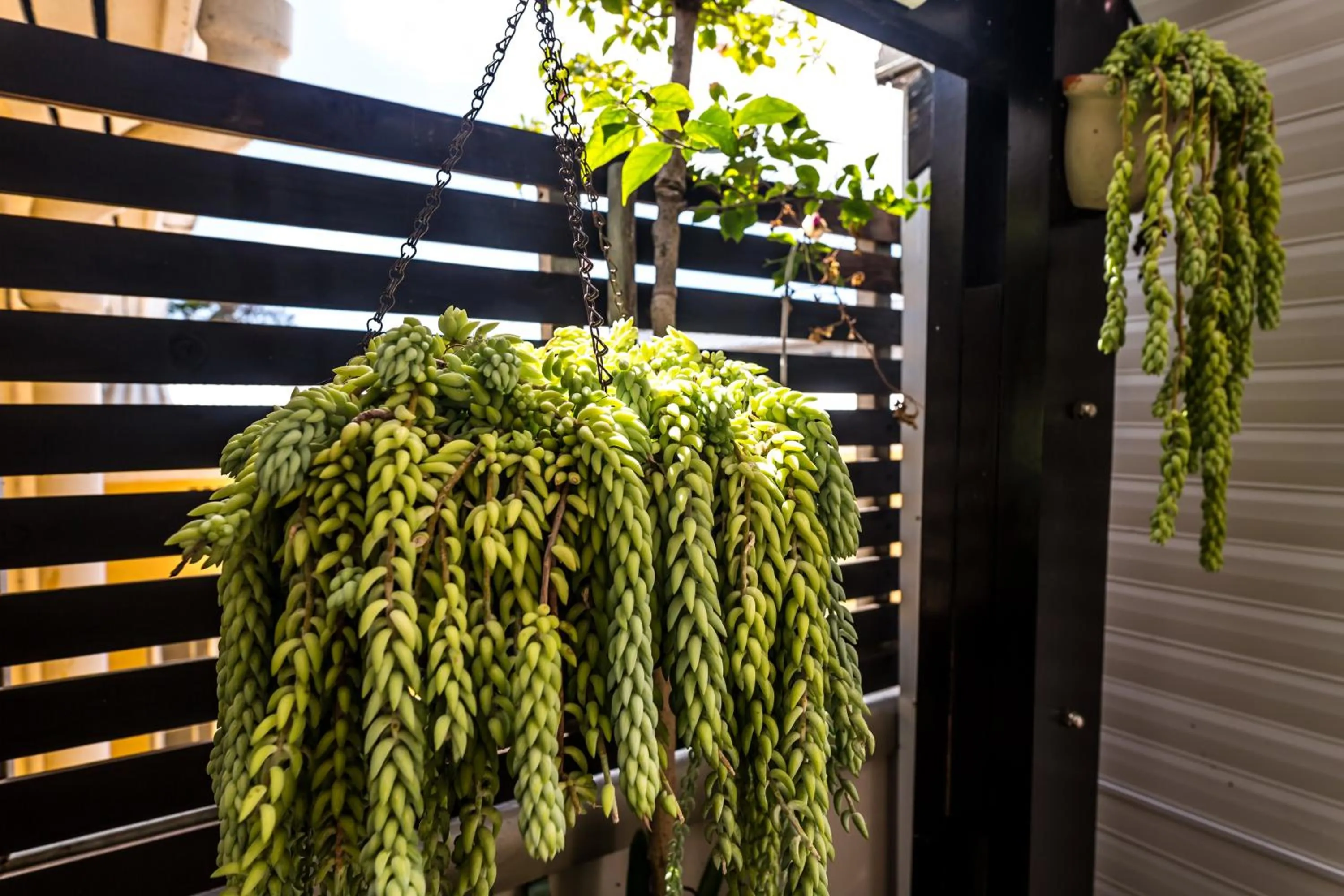 Facade/entrance in Point B Guest House -Sustainable Solar Energy