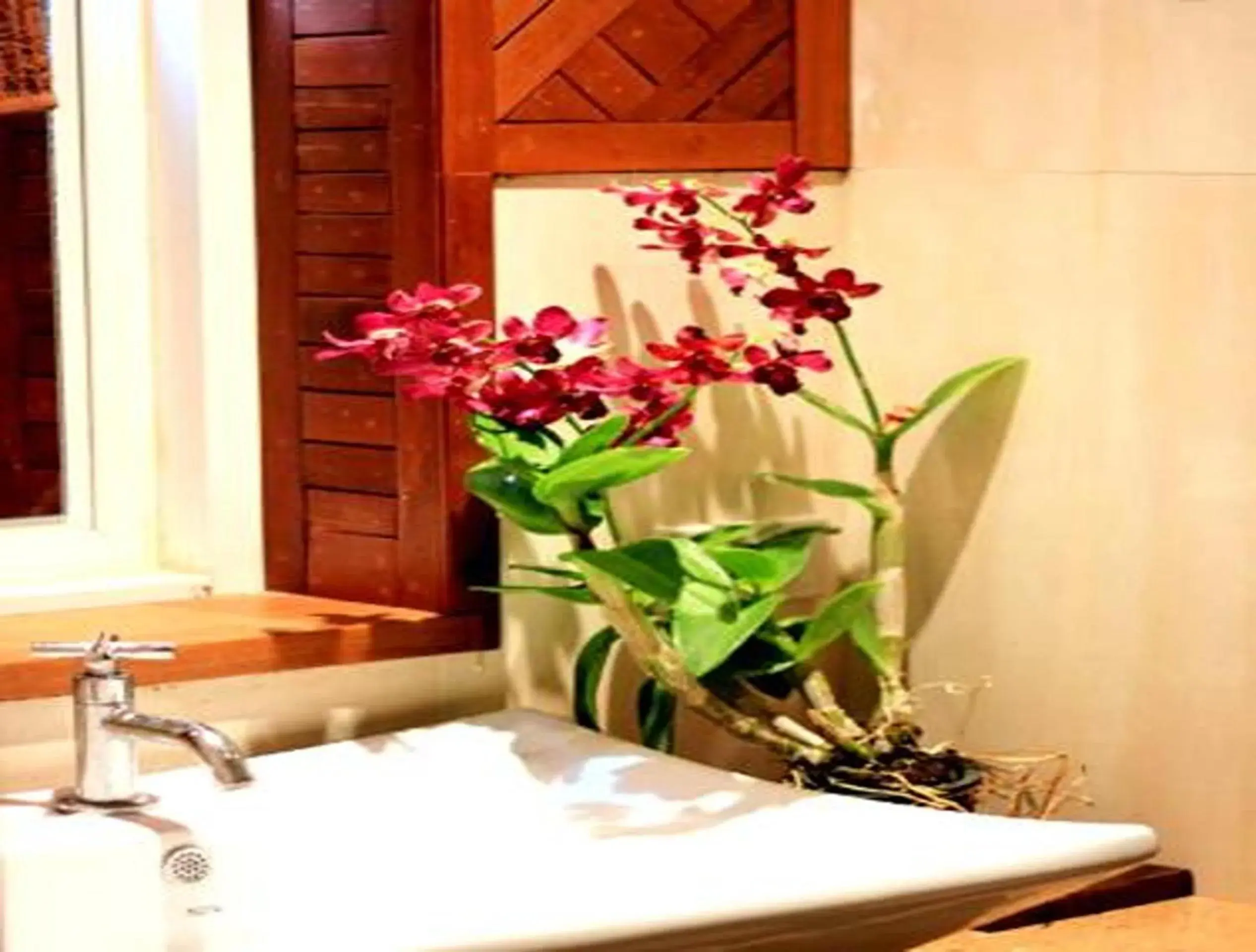 Toilet, Bathroom in Suanmali Samui