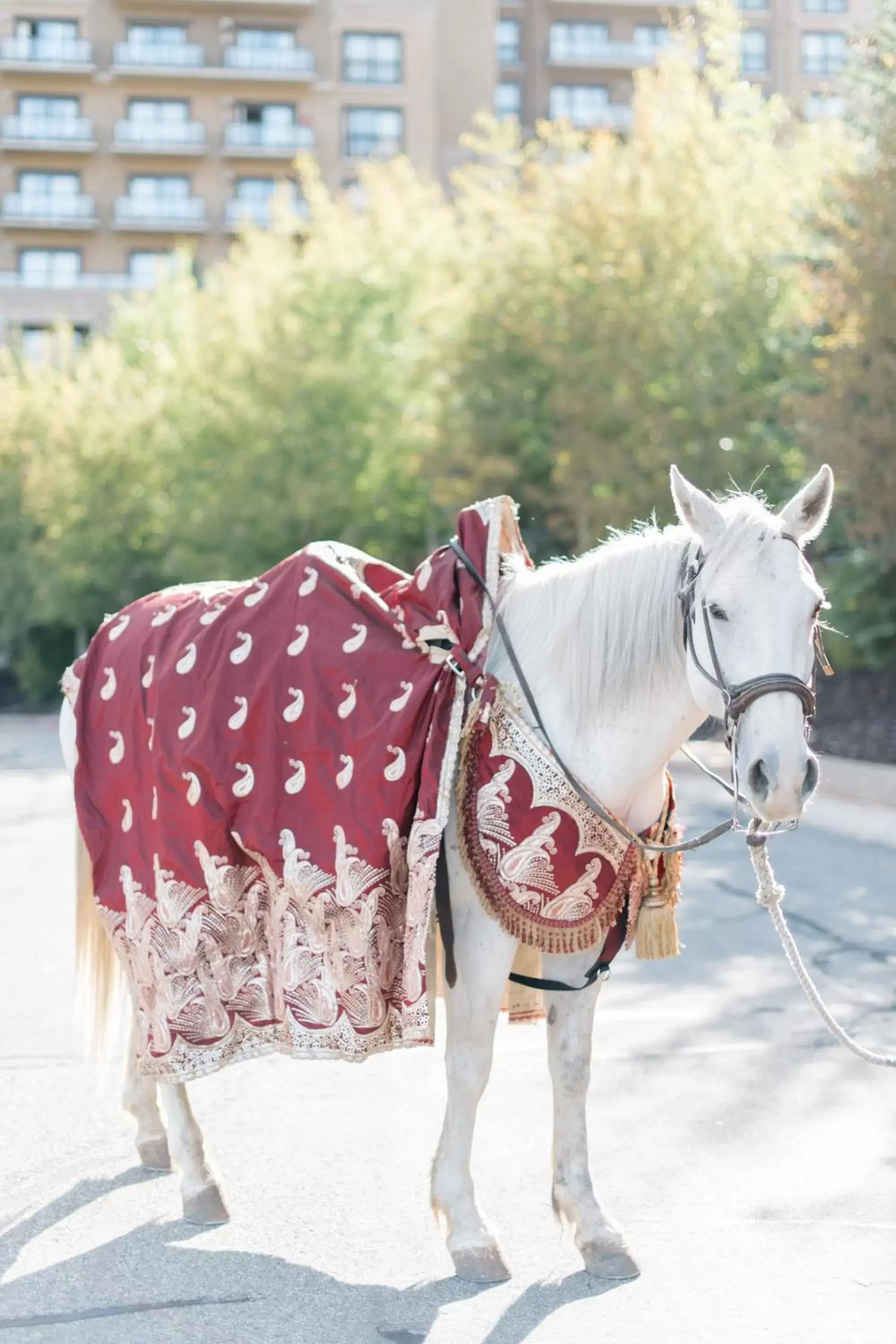 Other, Horseback Riding in St. Regis Deer Valley