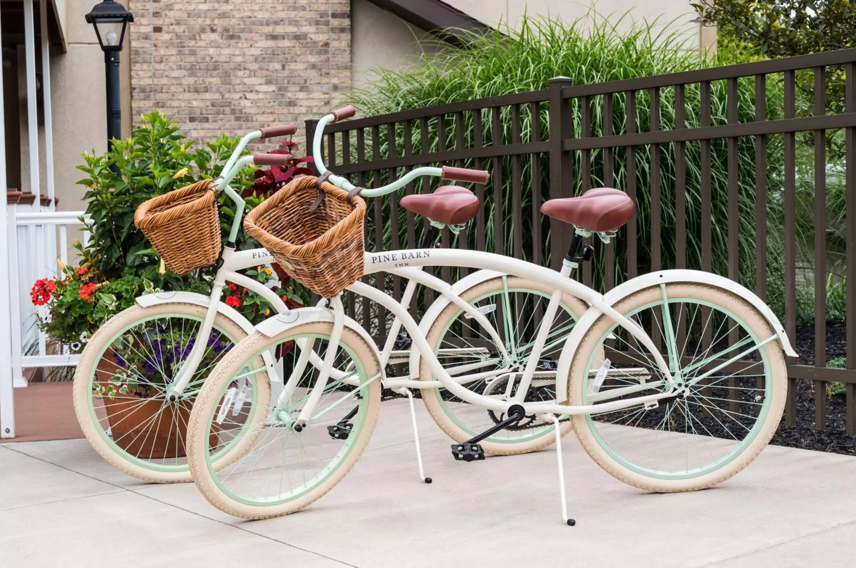 Cycling in Pine Barn Inn