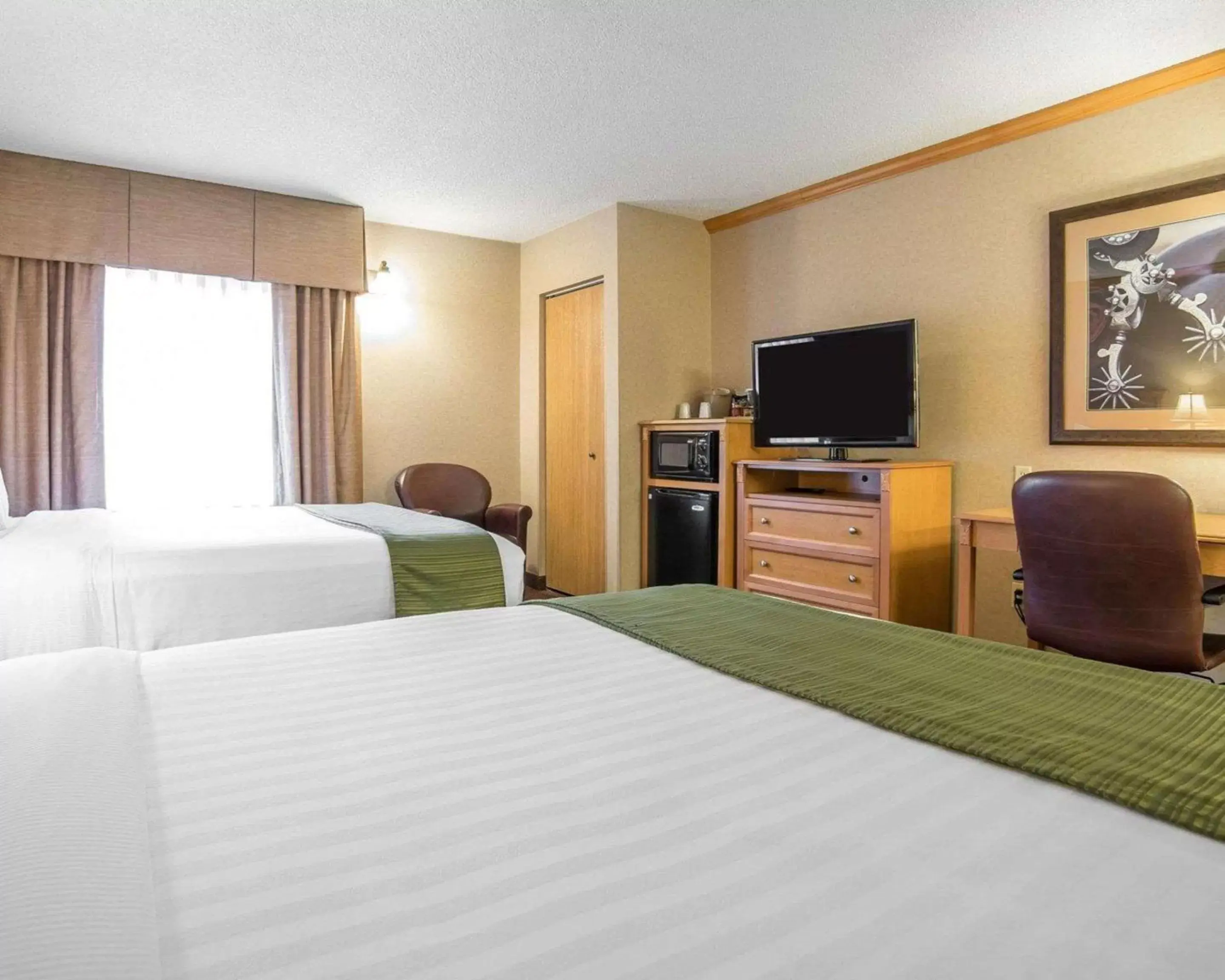 Photo of the whole room, Bed in Quality Inn & Suites Casper near Event Center