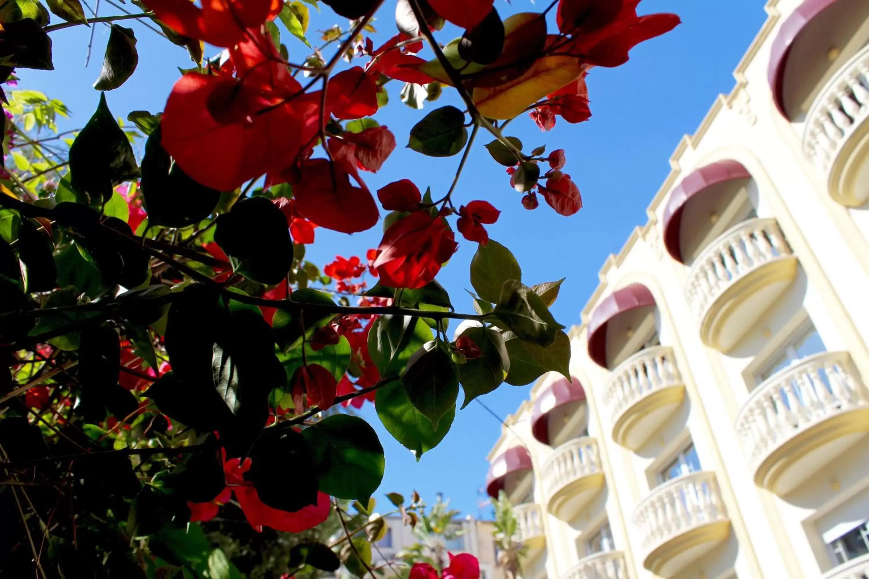 Balcony/Terrace in URH Sitges Playa