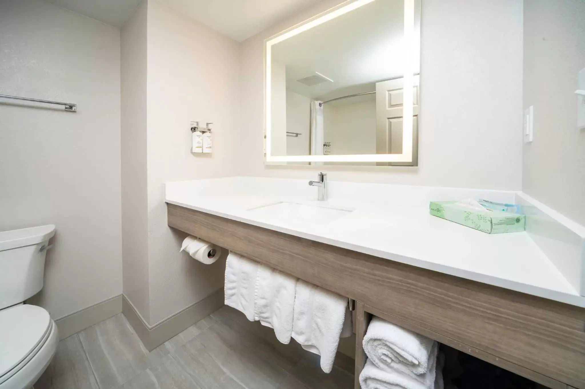 Bathroom in Holiday Inn Express and Suites Atlanta-Johns Creek, an IHG Hotel