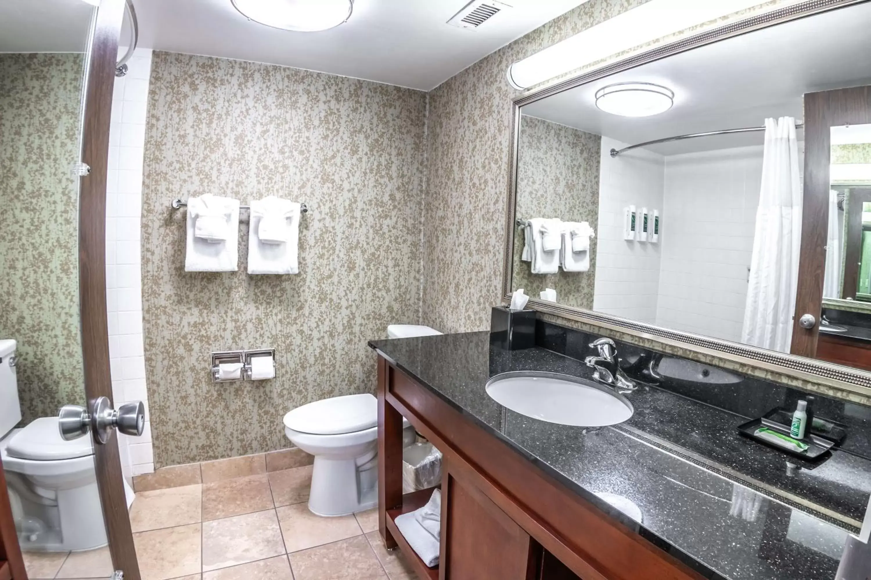 Bathroom in Salt Lake Plaza Hotel SureStay Collection by Best Western