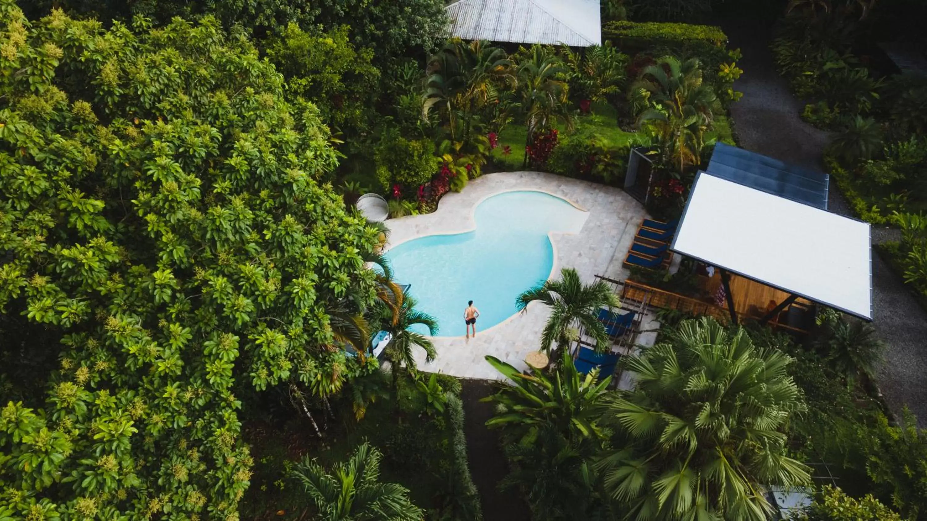 Swimming pool, Pool View in Noah's Forest Hotel by Tifakara