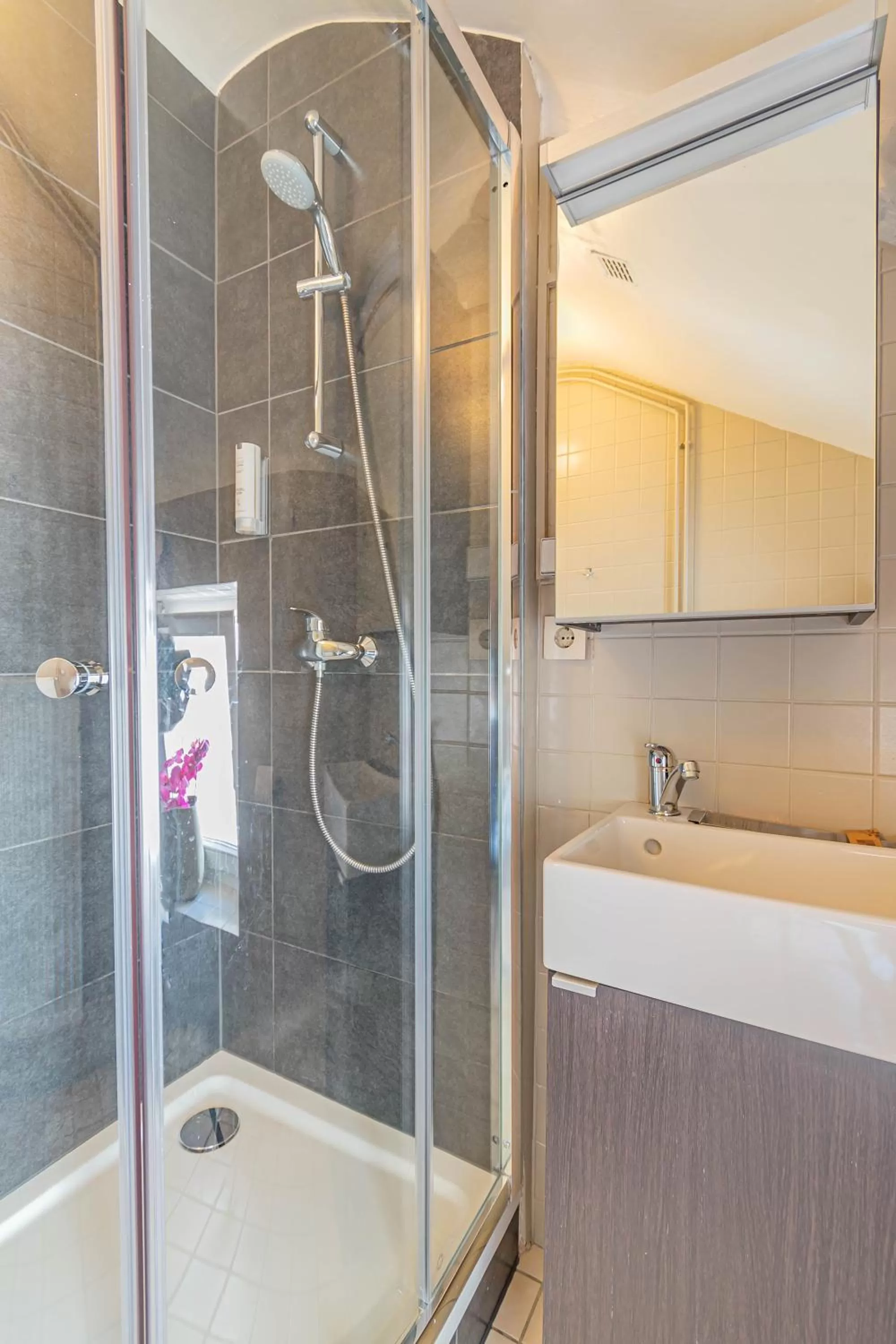 Shower in Hôtel Le Petit Poète