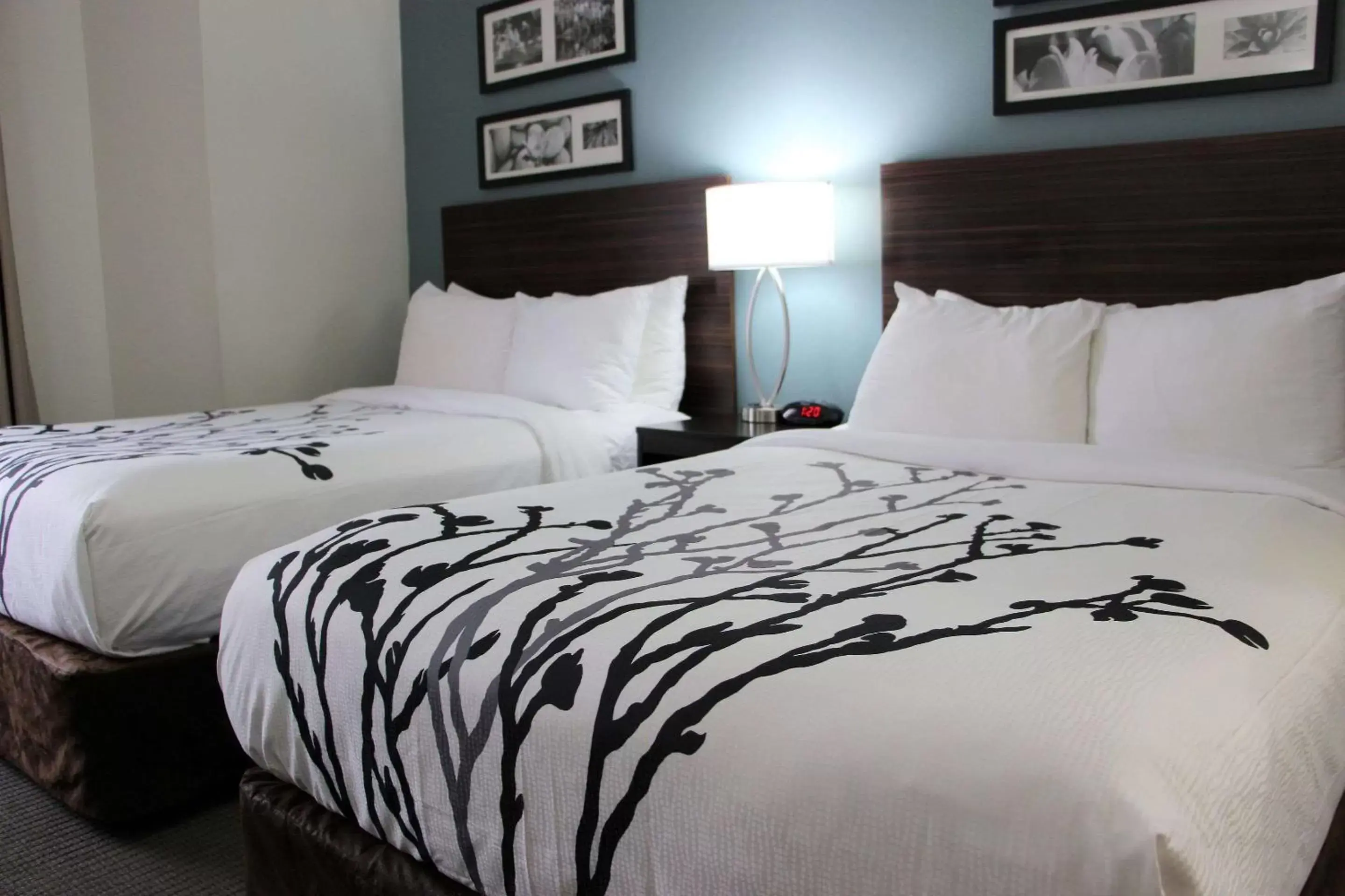 Photo of the whole room, Bed in Sleep Inn Chattanooga Hamilton Place Photo of the whole room, Bed in Sleep Inn Chattanooga Hamilton Place