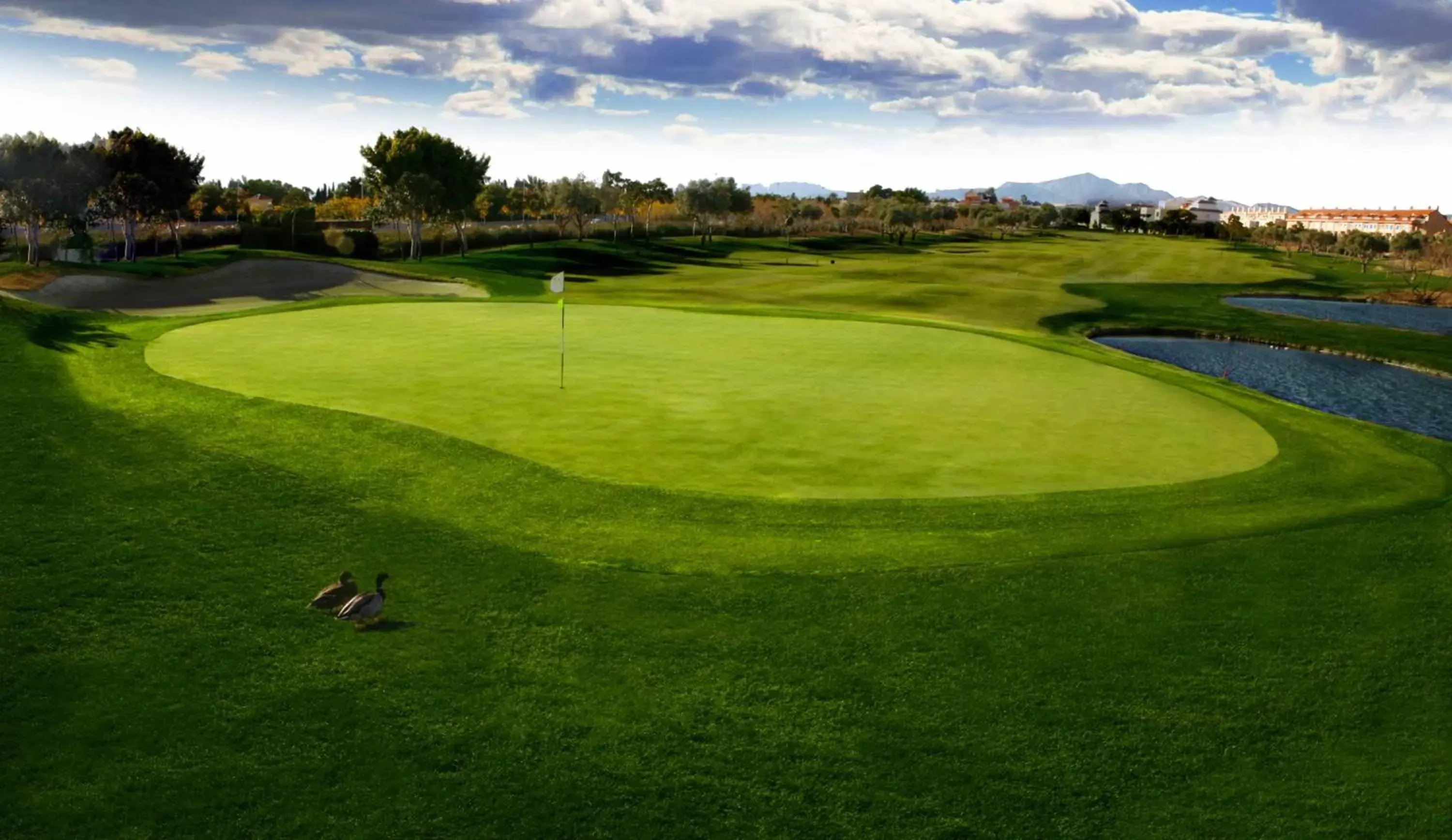 Golfcourse, Golf in Hotel Alicante Golf
