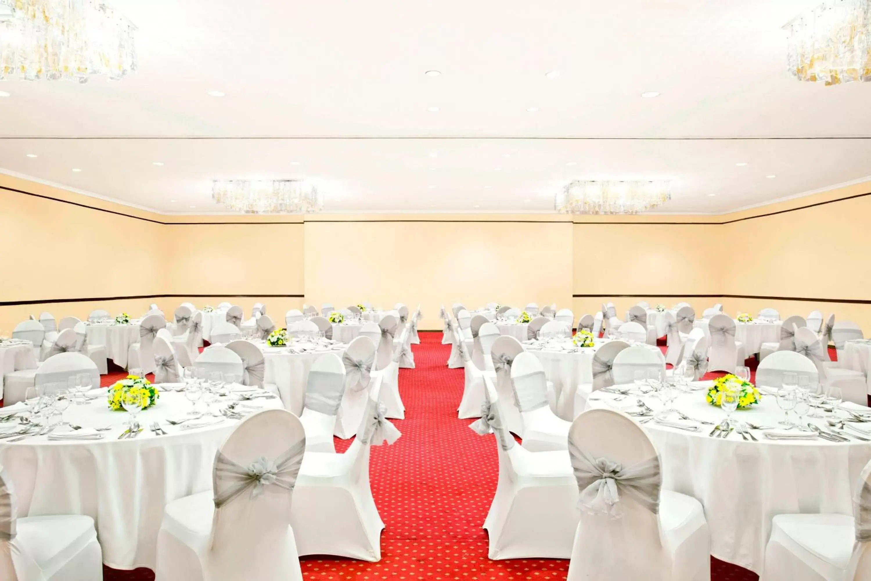 Meeting/conference room, Banquet Facilities in Sheraton Lagos Hotel