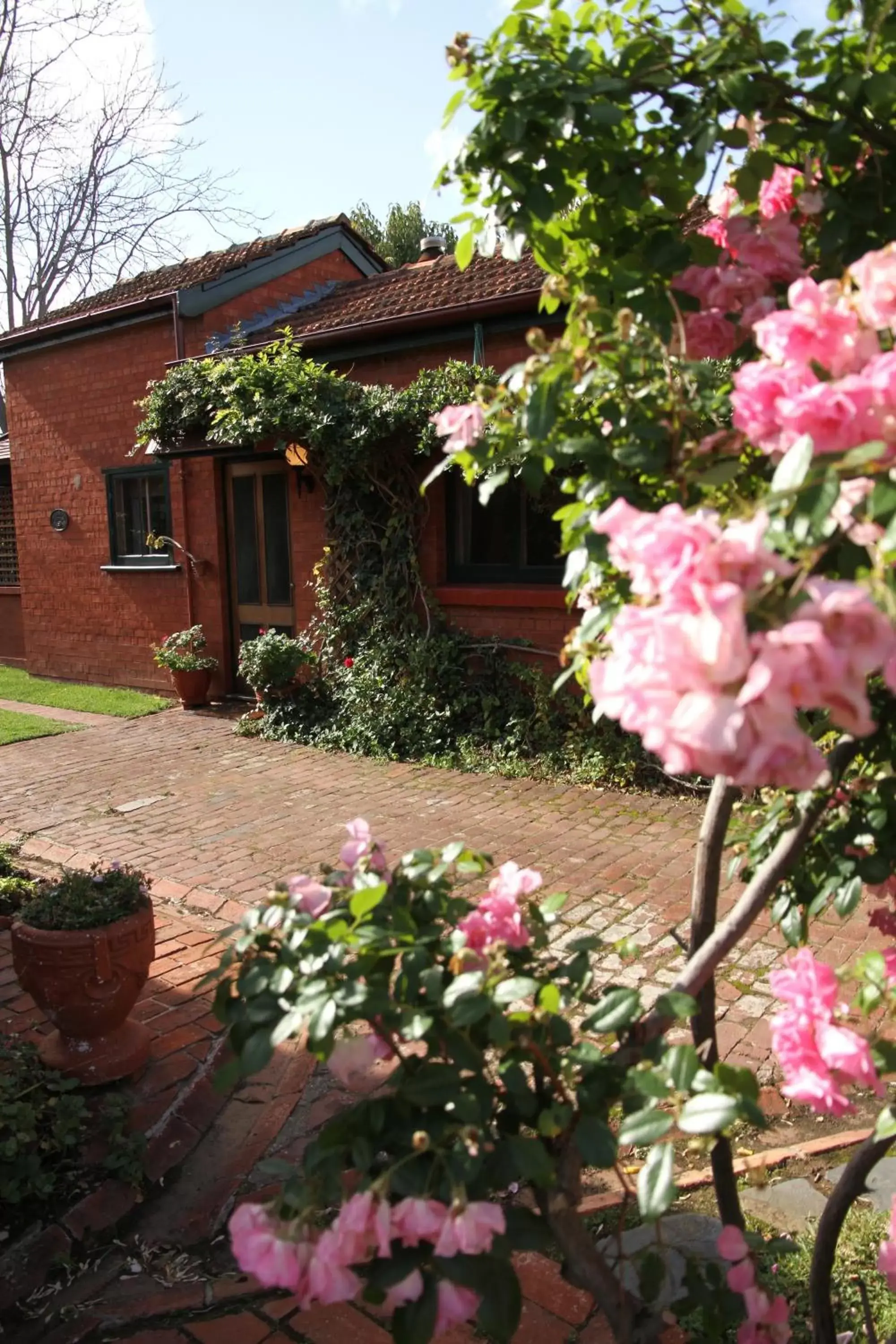 Patio, Garden in Buxton Manor