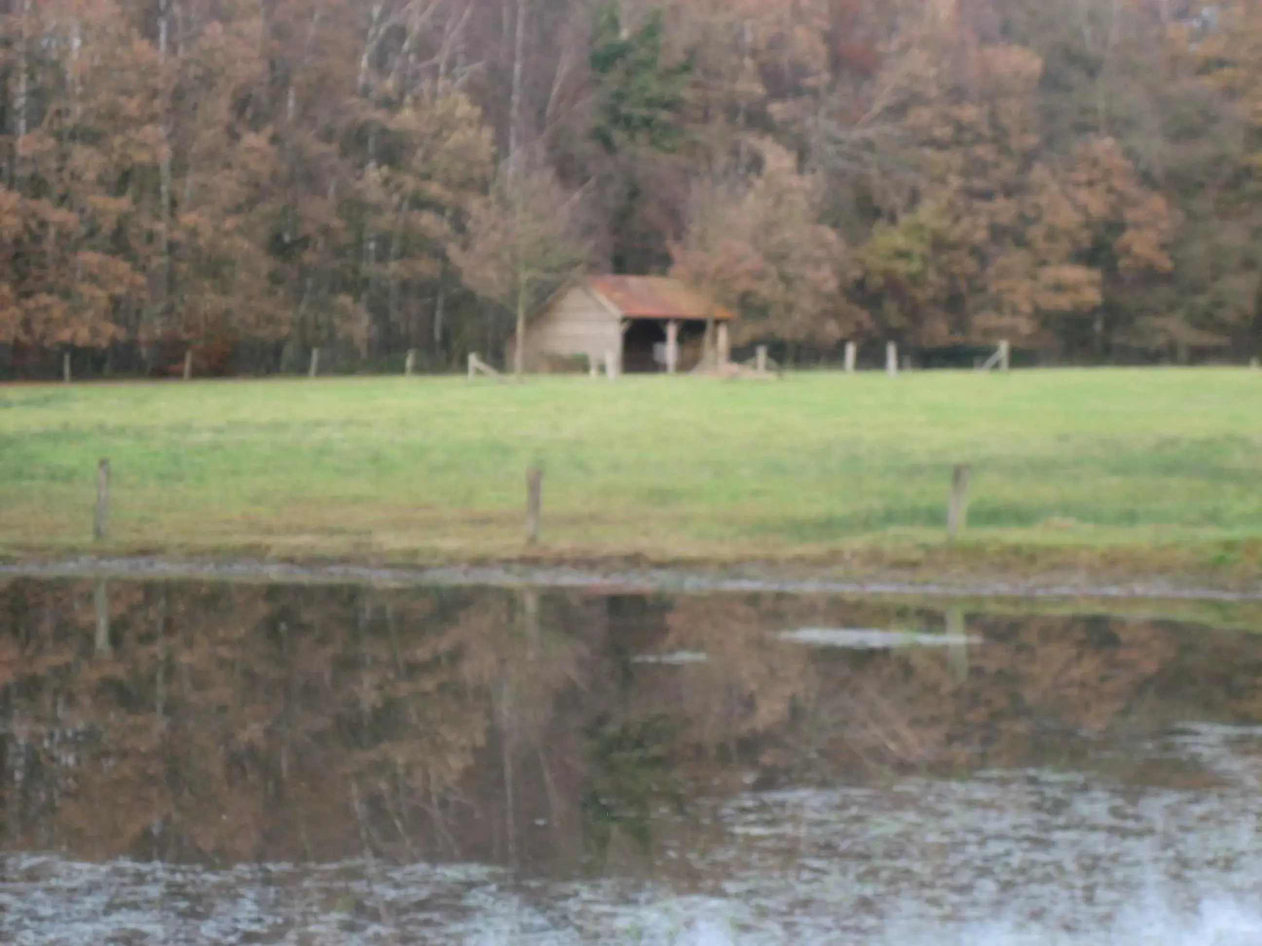 Natural landscape in Hotel Het Landhuis