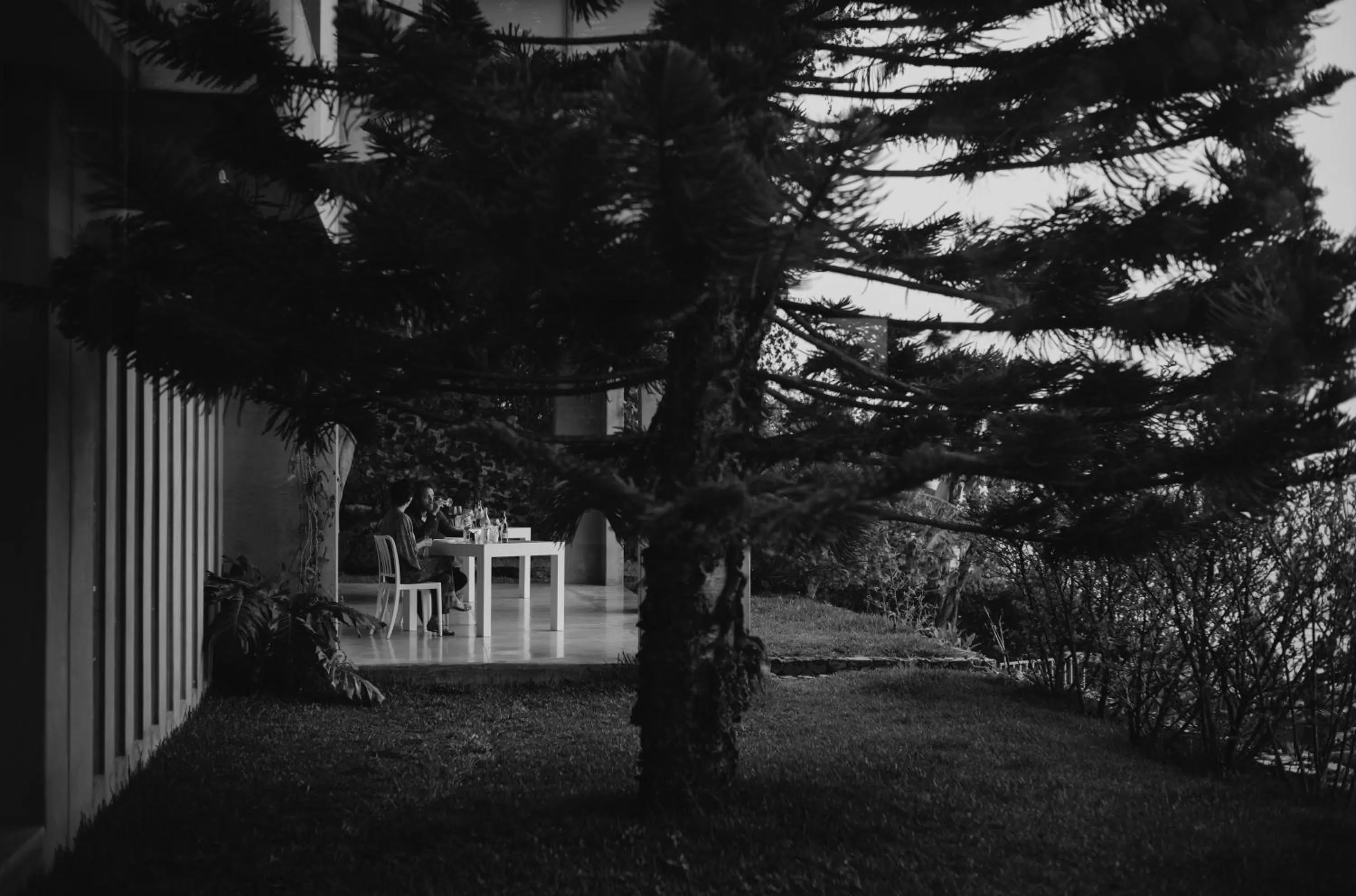 Garden in Anzan Atitlan