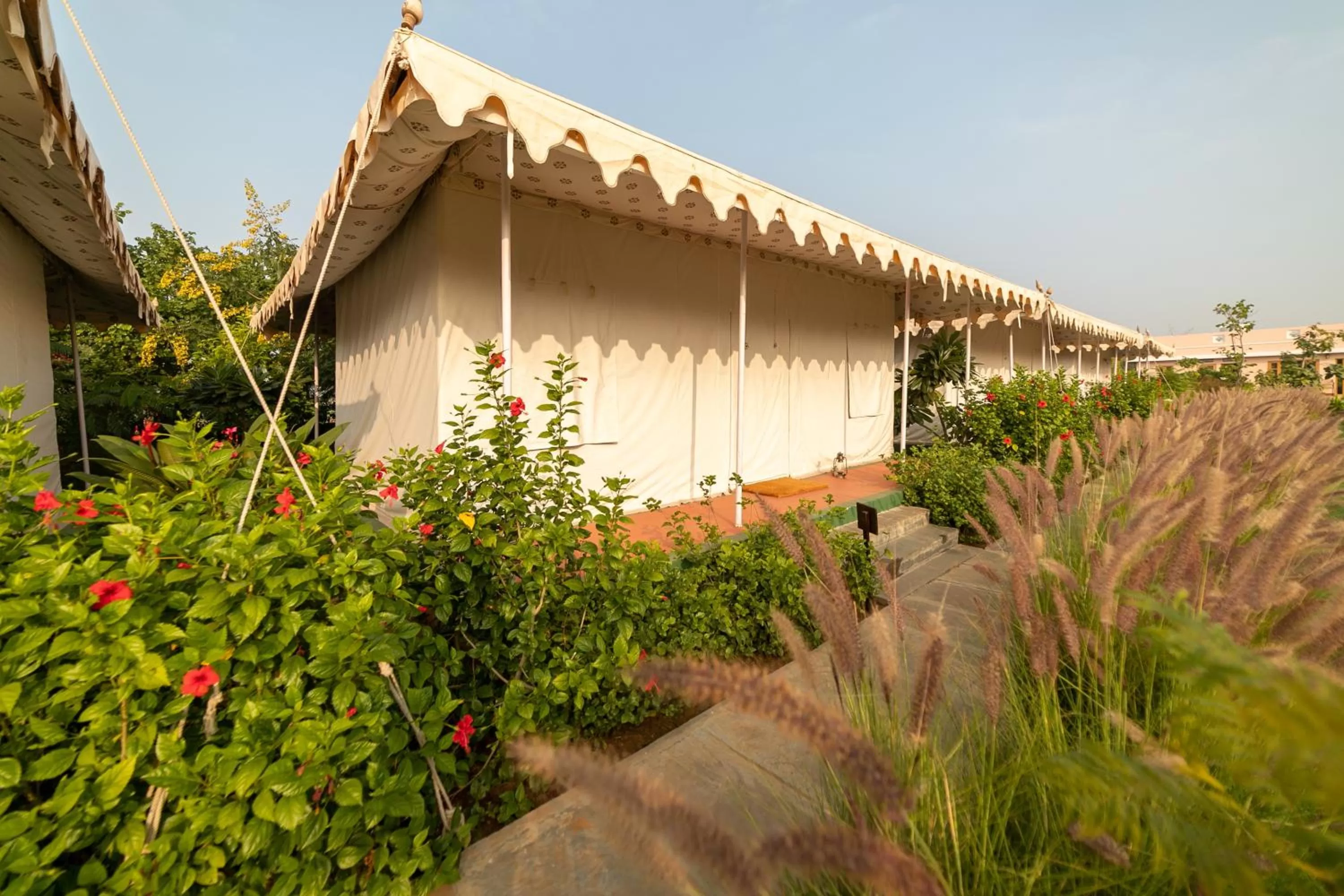 View (from property/room) in Madho Bagh