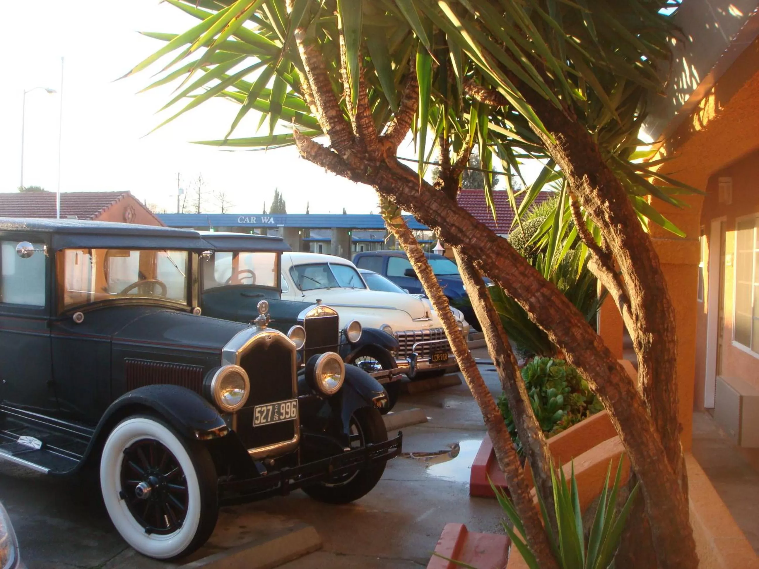 Garden in Economy Inn Los Banos