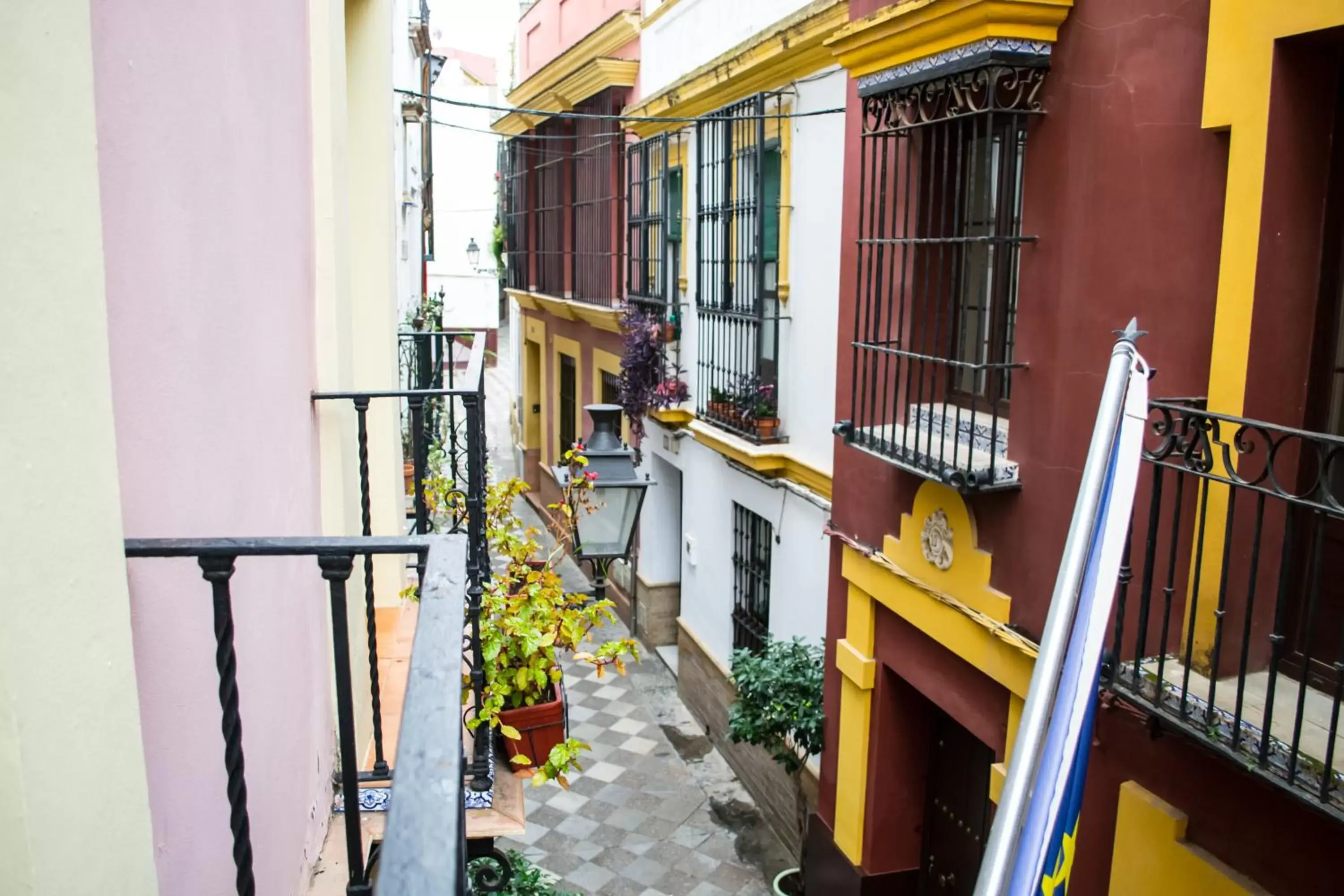 City view, Balcony/Terrace in Un Patio en Santa Cruz