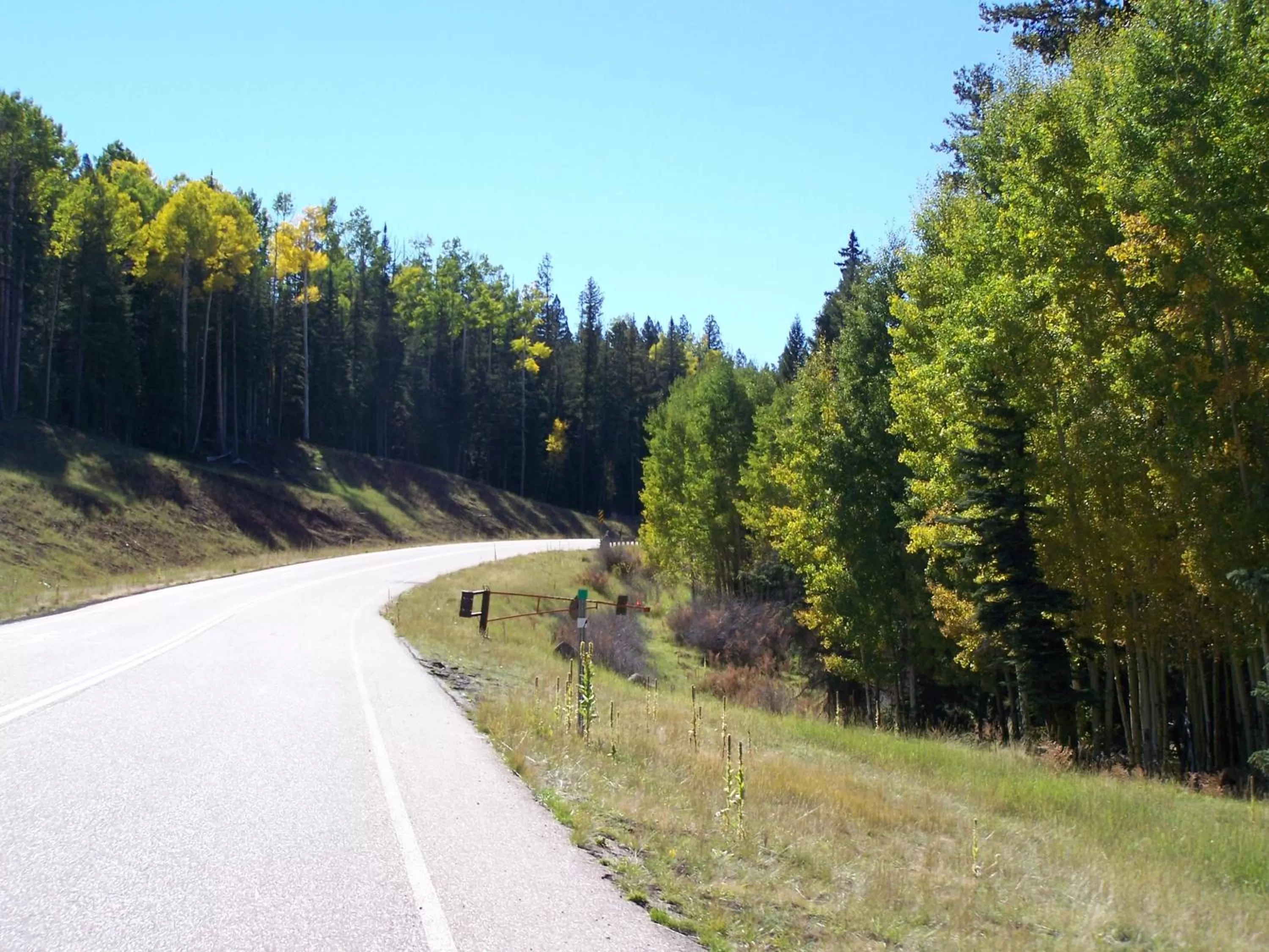 Off site in TimberLodge Inn