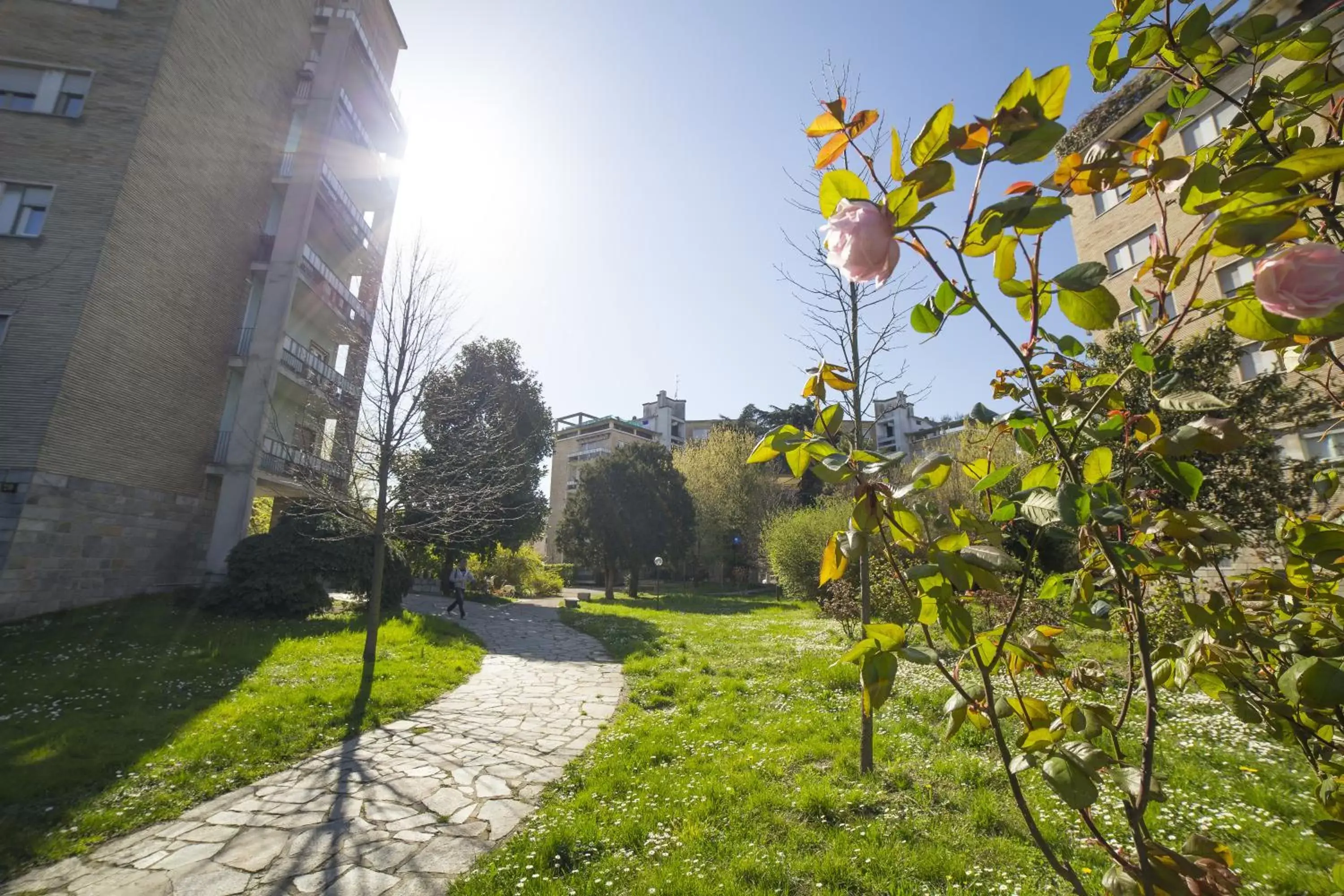 Facade/entrance, Garden in Dreams Hotel Residenza Gambara