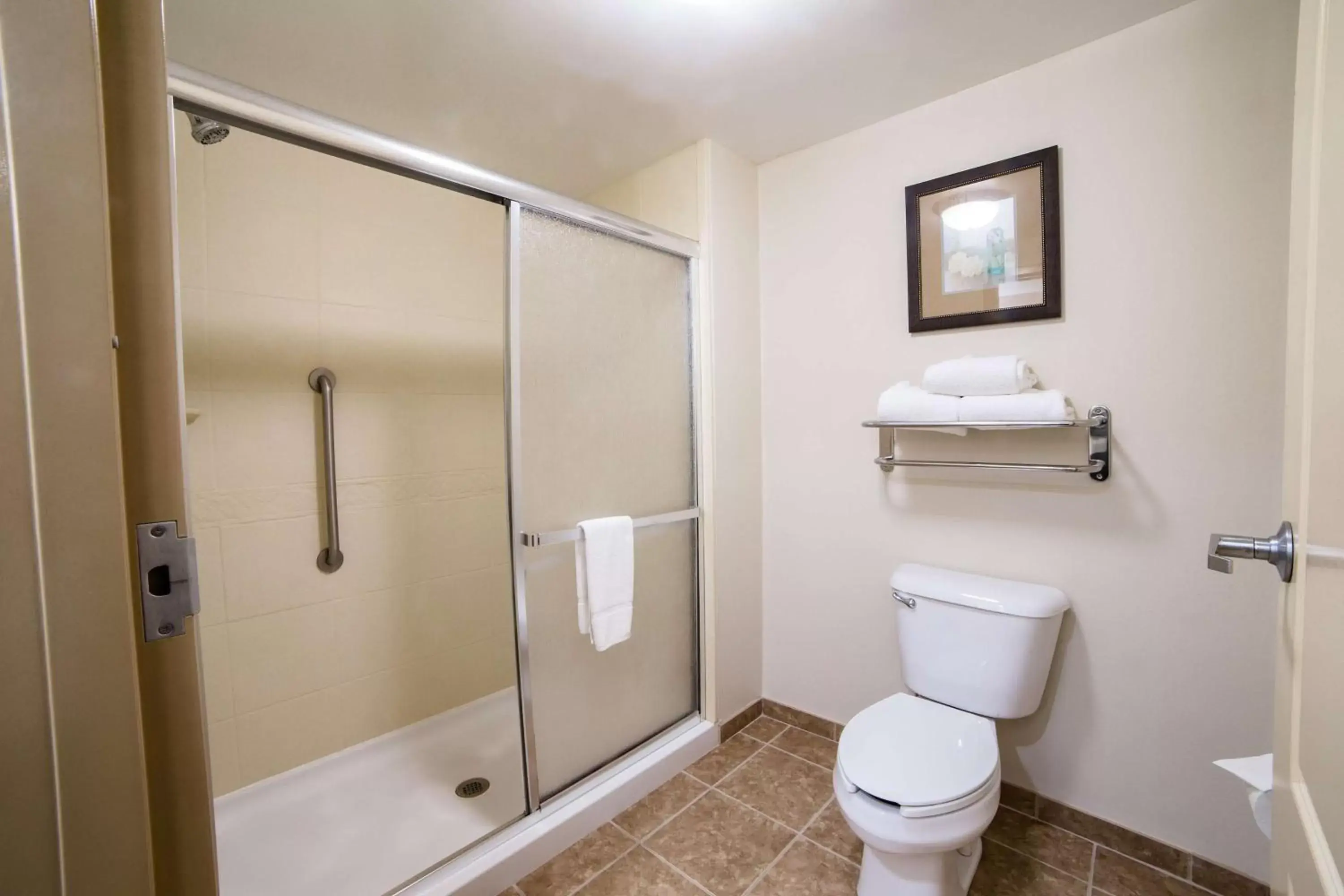 Bathroom in Homewood Suites by Hilton Davidson