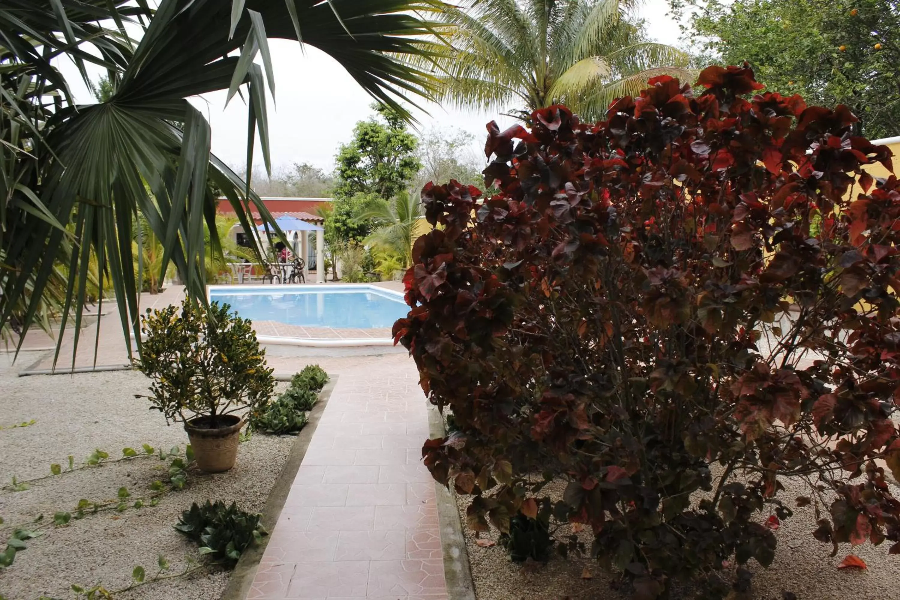 Garden, Swimming Pool in Posada Ya´ax Ich