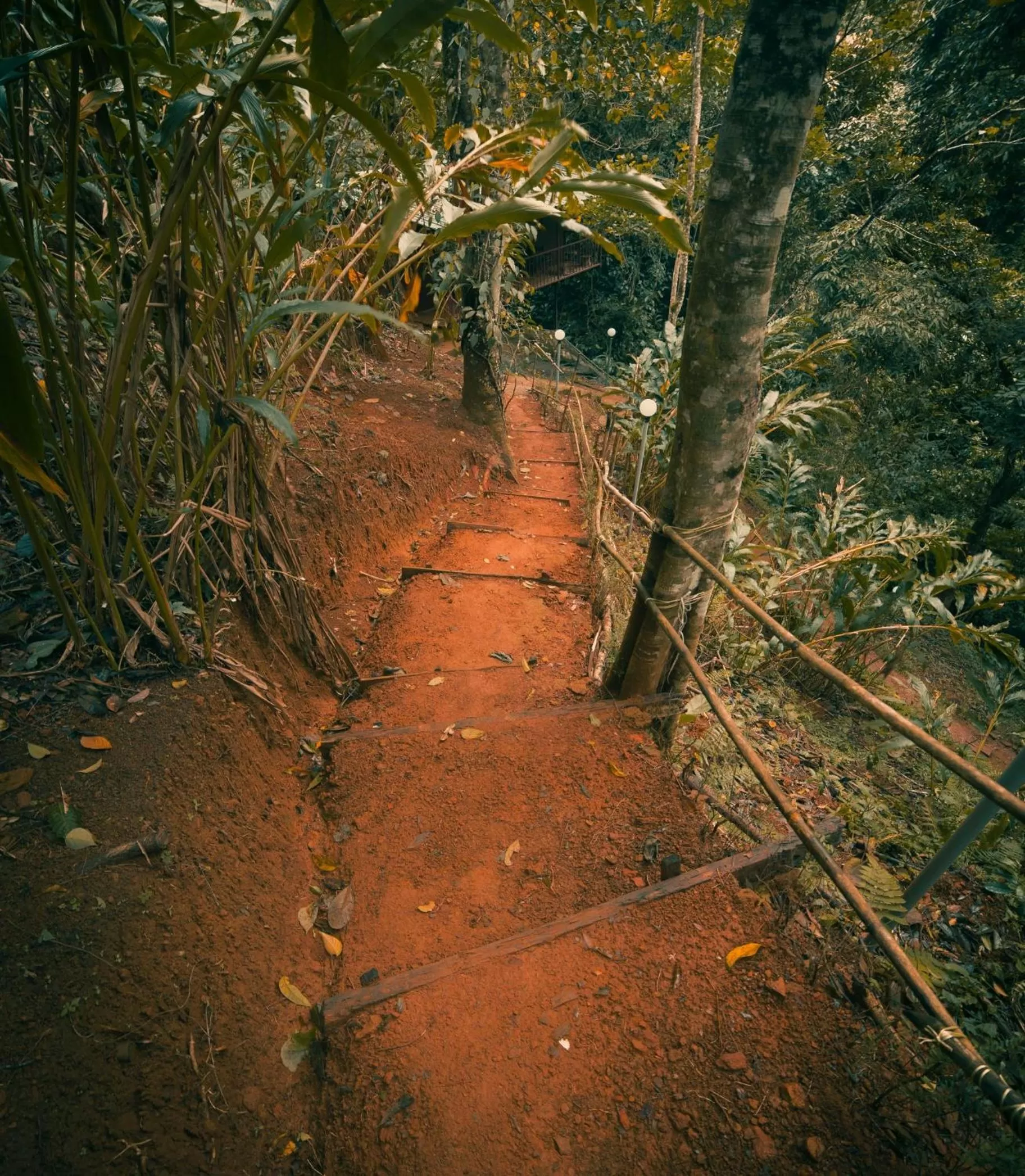 Garden in Ela Ecoland Nature Retreat