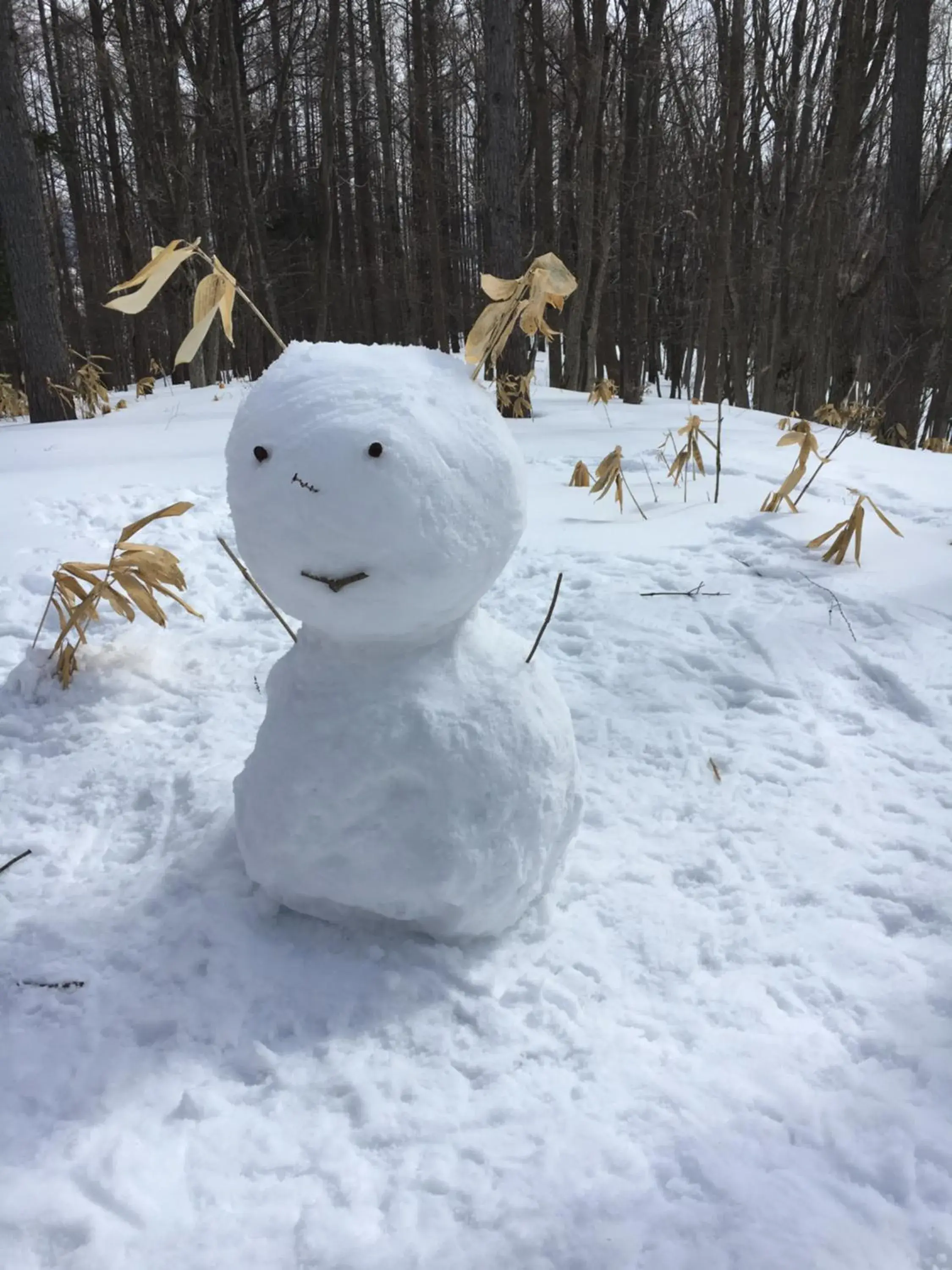 Winter in Pension Hoshi Ni Negaiwo