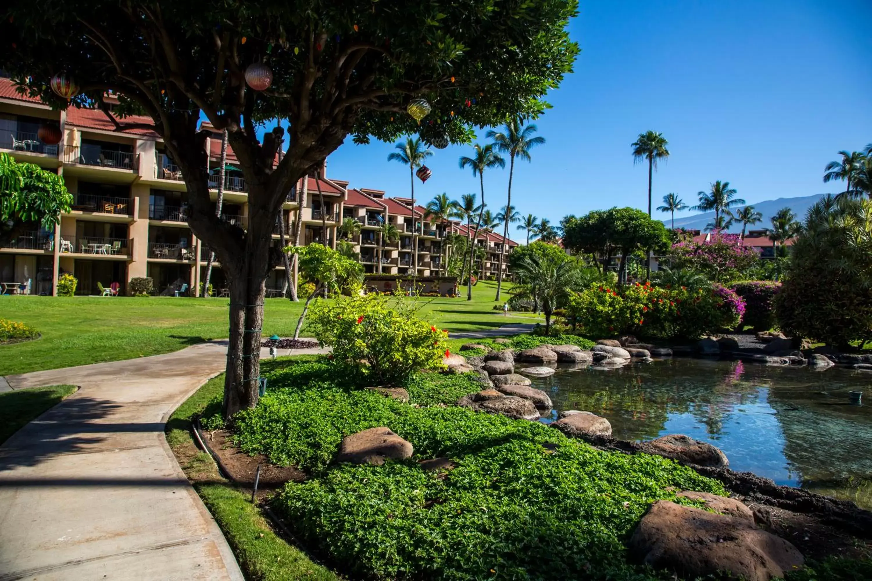 Property building in Castle Kamaole Sands