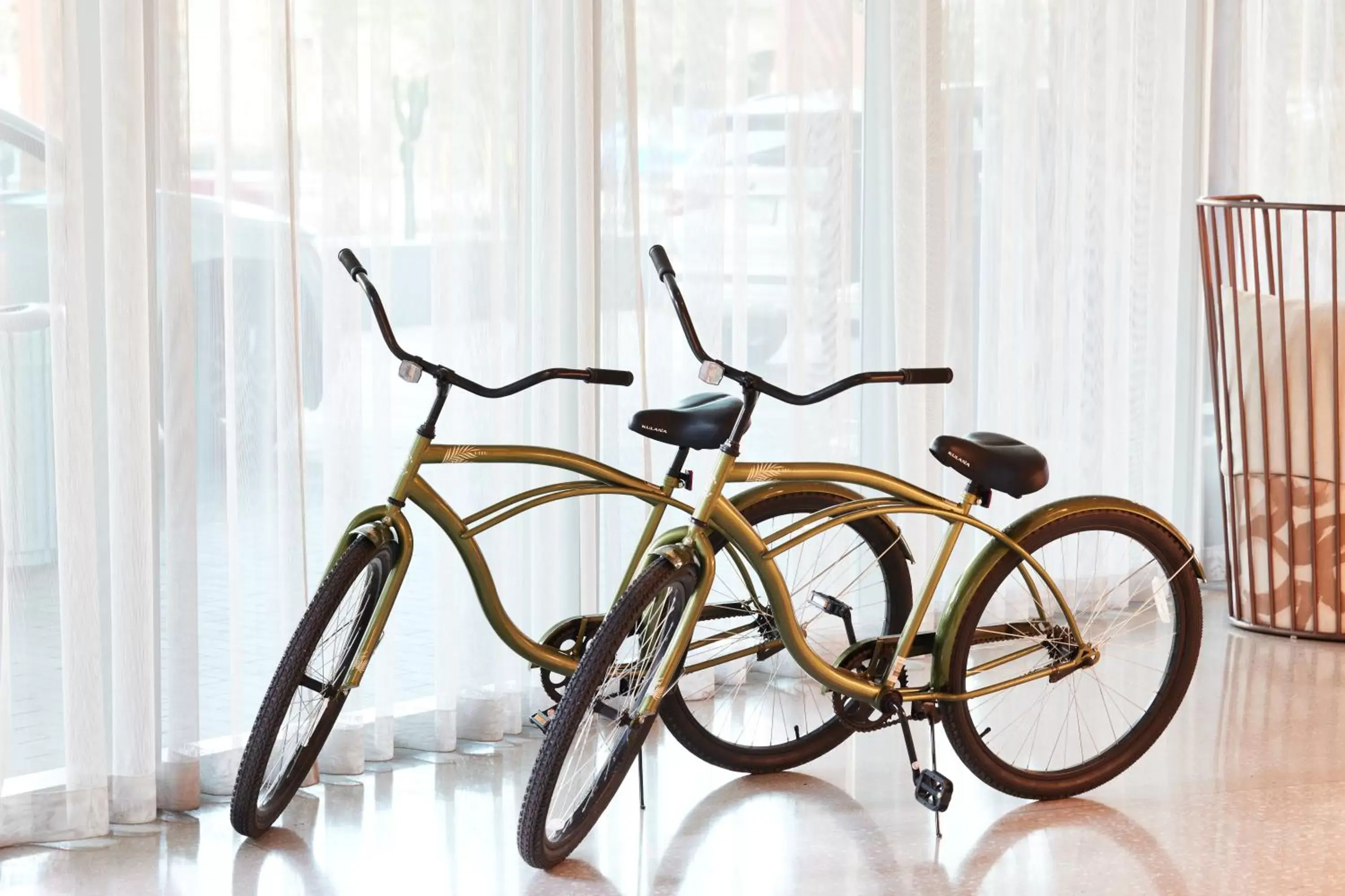 Cycling, Other Activities in The Westin Tempe