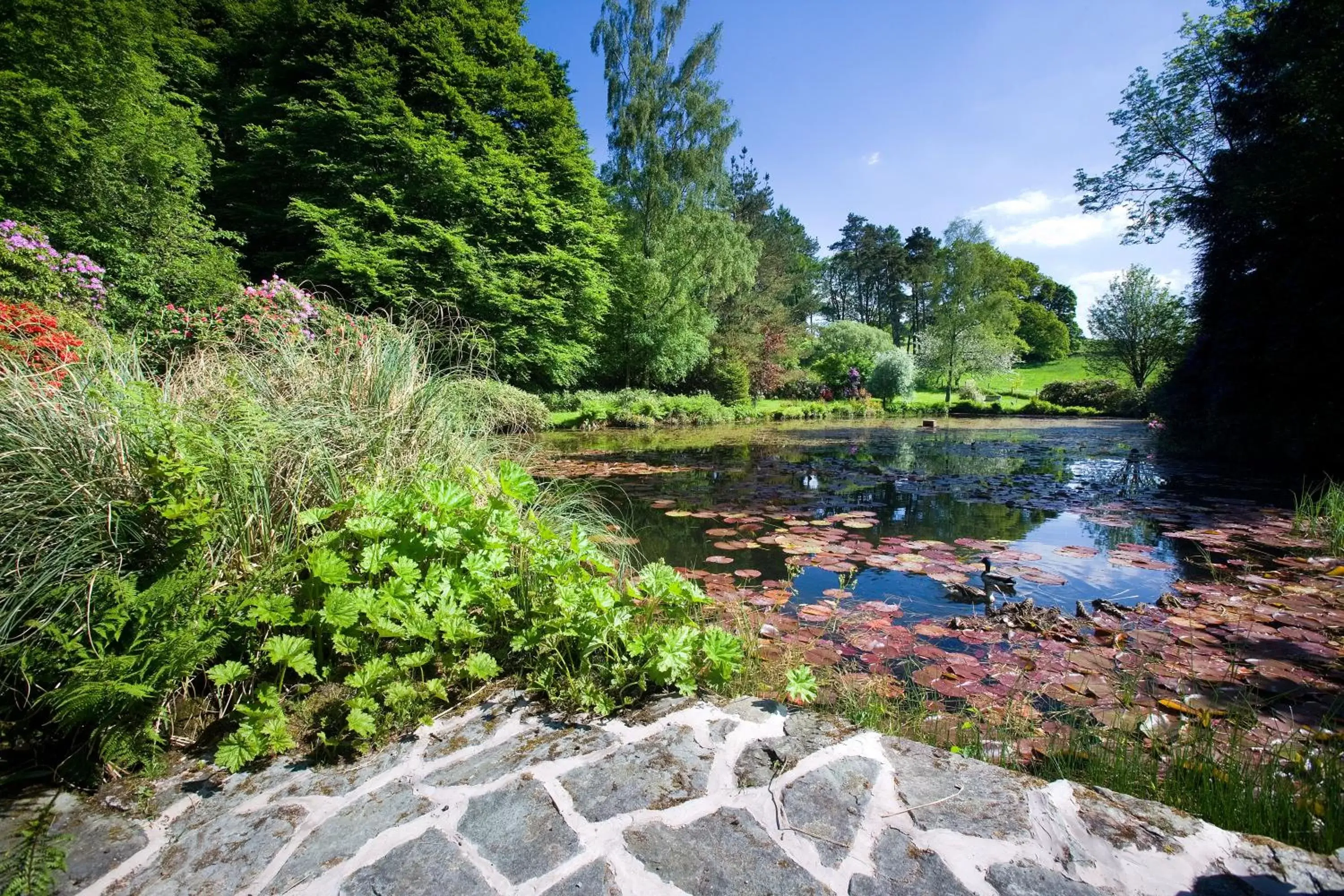 Garden in Lindeth Fell Country House