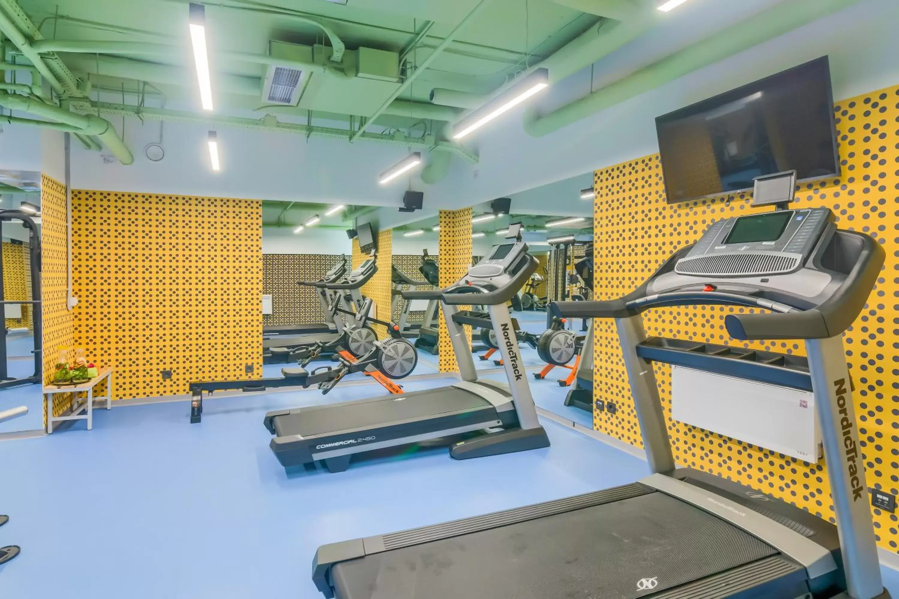 Fitness centre/facilities, Fitness Center/Facilities in ibis Styles Bucharest City Center