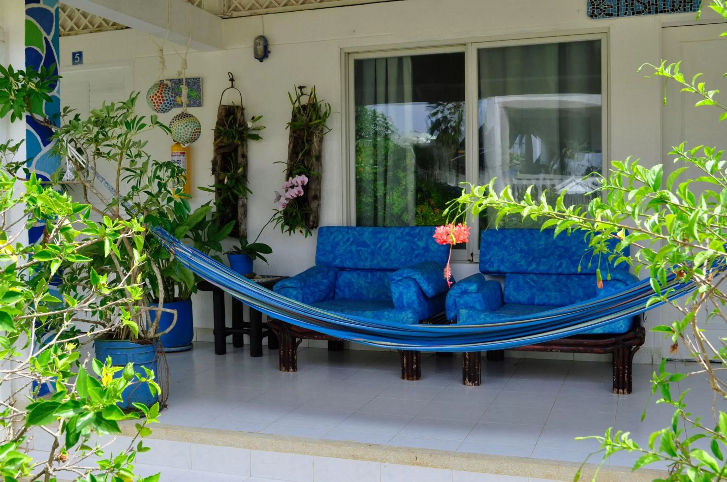 Balcony/Terrace in Hosteria Mar y Sol
